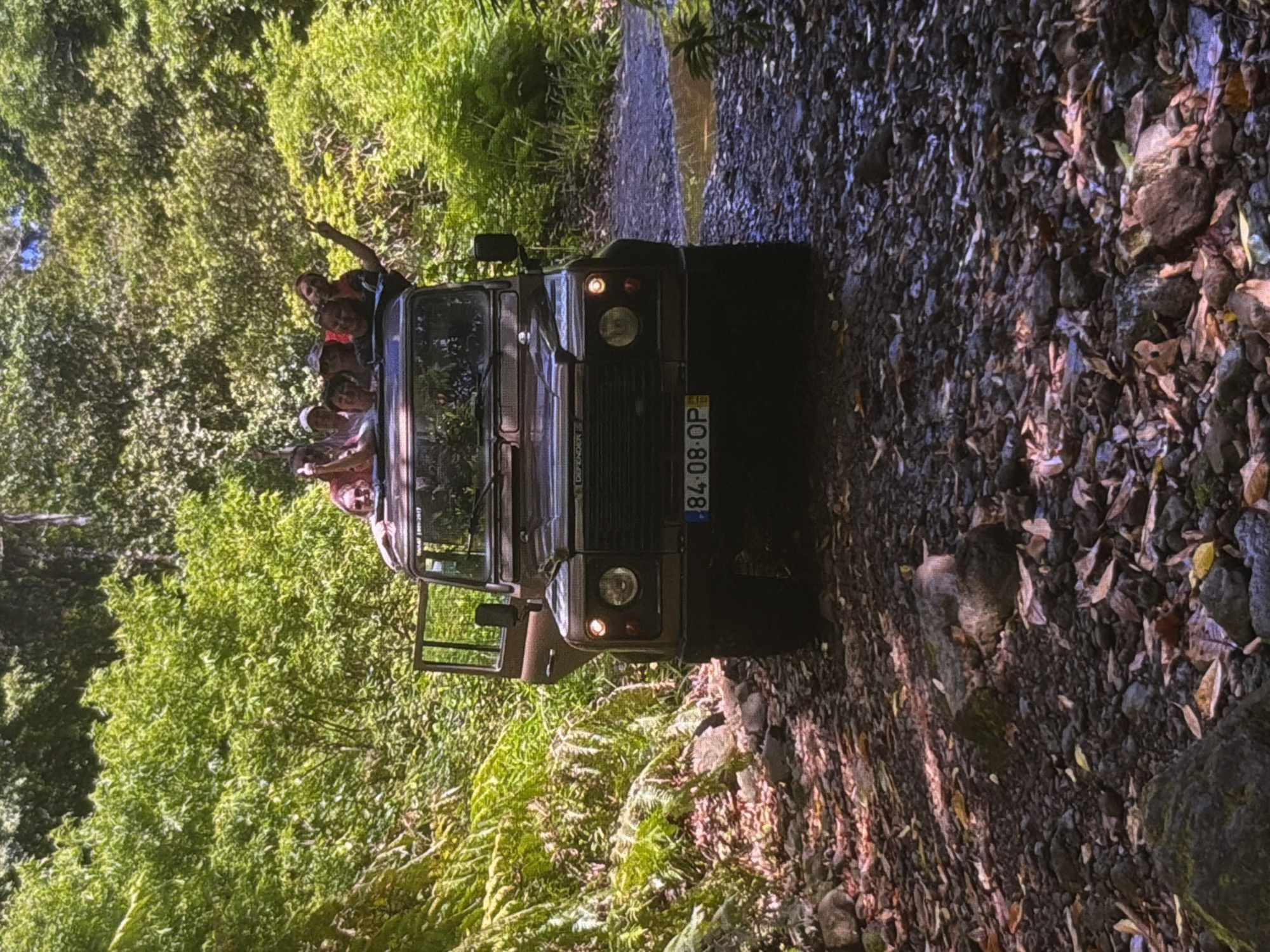 An eye-level, medium shot captures a brown Land Rover Defender traversing a rocky, unpaved path through a dense, green forest. Sunlight filters through the canopy, casting dappled shadows on the foliage and the vehicle. Several people are visible in the open top of the Land Rover, with some of them raising their hands, seemingly waving or celebrating. The license plate of the vehicle reads "84-08-OP." The forest floor is covered with stones, leaves, and sparse vegetation. A small puddle of water is visible on the right side of the path. The open door of the vehicle suggests an excursion or adventure is underway.
