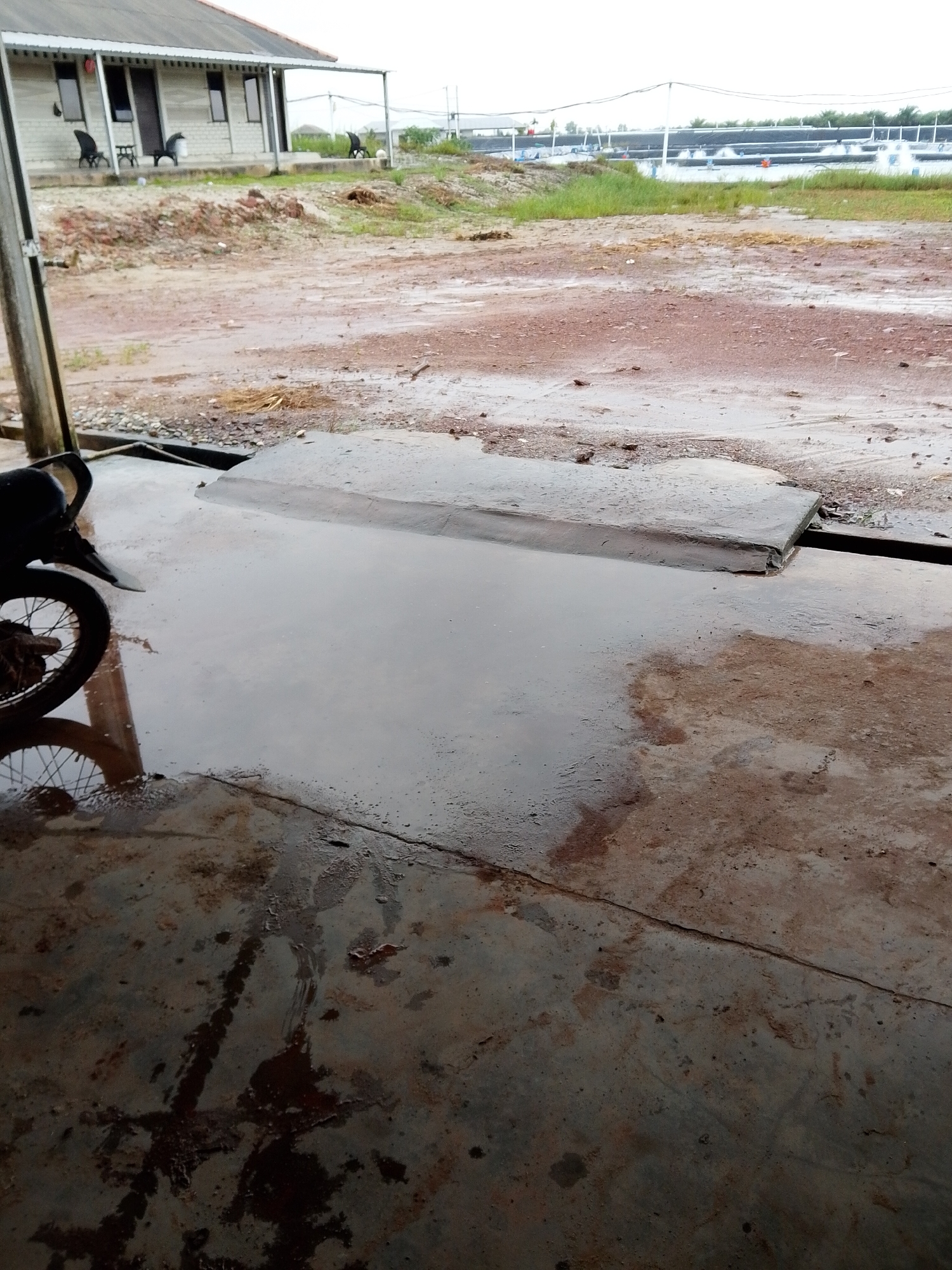 The image shows an outdoor scene in Bukit Ketok, Indonesia, after a rain. The foreground is a wet, stained concrete surface. A black motorcycle is partially visible on the left. A concrete block with a drainage gap is present in the middle ground, covered in water. Beyond the block is a muddy, reddish-brown ground. In the background, there's a single-story building with a porch, some chairs, and a grassy area. Further in the distance, there are what appear to be aquaculture ponds. The sky is overcast.