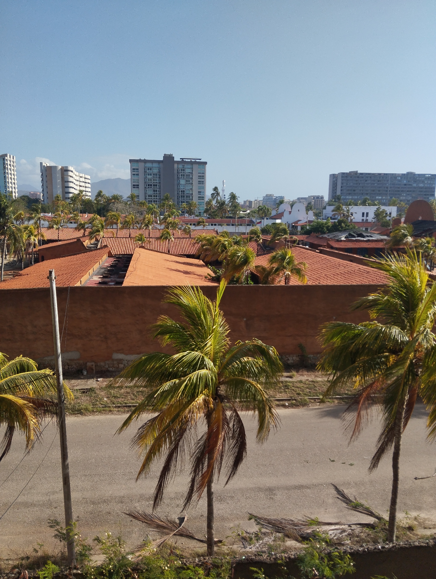The image presents a daytime view of a cityscape, likely located in a tropical or subtropical area. In the foreground, a paved road stretches horizontally across the scene, bordered by vegetation. Several palm trees line the road, their fronds swaying in the breeze.
Behind the road, a long, terracotta-colored wall extends across the middle ground, punctuated by sections of terracotta roofs. The rooftops are covered in red clay tiles.
In the background, various buildings rise above the wall and rooftops, including tall, modern structures and low-rise buildings. Mountains are visible in the distance. The sky is clear and blue.
The scene does not contain any people or evident actions or interactions.
It is difficult to ascertain if the location is Porlamar, Venezuela without more context or information from the image.