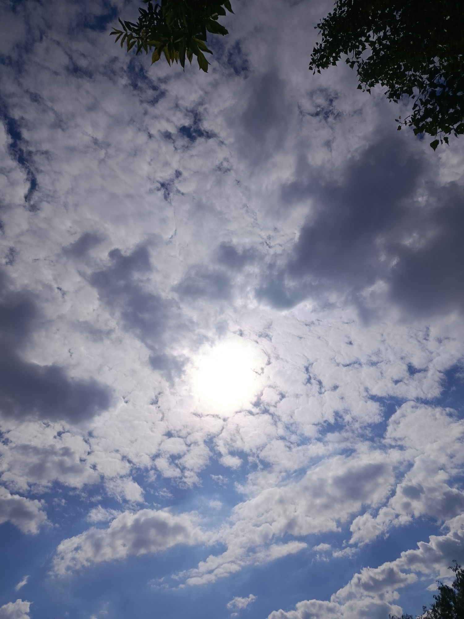 The image captures a view of the sky from below, looking upwards. The sky is filled with a mixture of white and gray clouds, with patches of blue visible between them. The sun is a bright, intense orb located in the upper center of the frame, causing a lens flare effect. Dark green leaves from trees are visible in the upper corners of the image, partially obscuring the sky. The scene appears to be an outdoor environment during the daytime, likely a park or natural area within a city. There are no people or specific landmarks visible in the image, making it impossible to determine a precise location within a city.