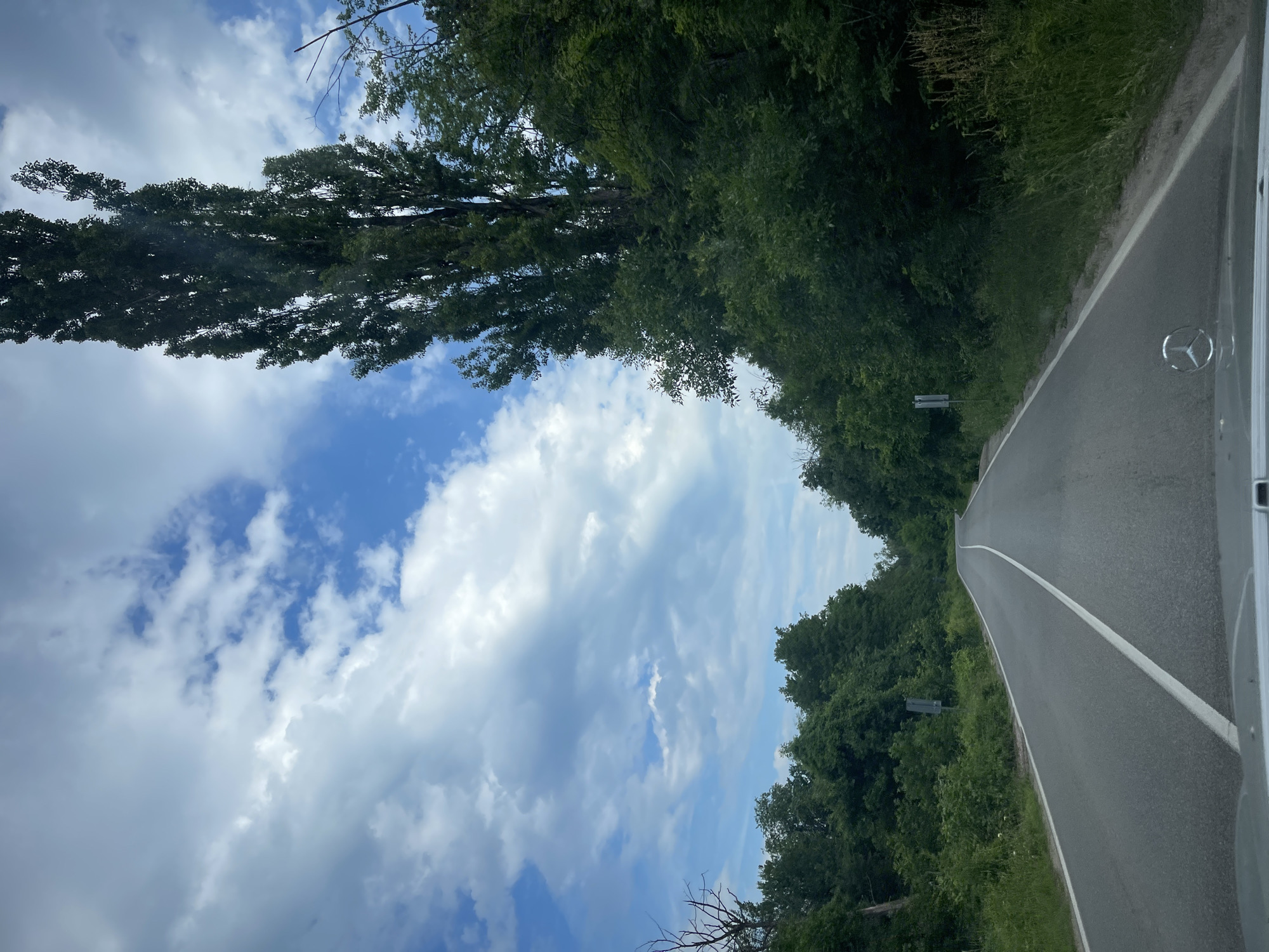 This is a photograph taken from the perspective of a driver looking out over a road in Komarevo, Bulgaria. The road is paved and has a white line marking the center. It curves slightly to the right and is bordered by lush green trees and vegetation on either side. The sky is partly cloudy with a mix of blue sky and white clouds. A tall, slender tree stands prominently on the right side of the road, reaching towards the sky. The hood of a Mercedes-Benz vehicle is visible in the foreground, indicating the vantage point of the shot. There are no people or animals visible in the image. The overall scene depicts a rural road in a natural, wooded environment.