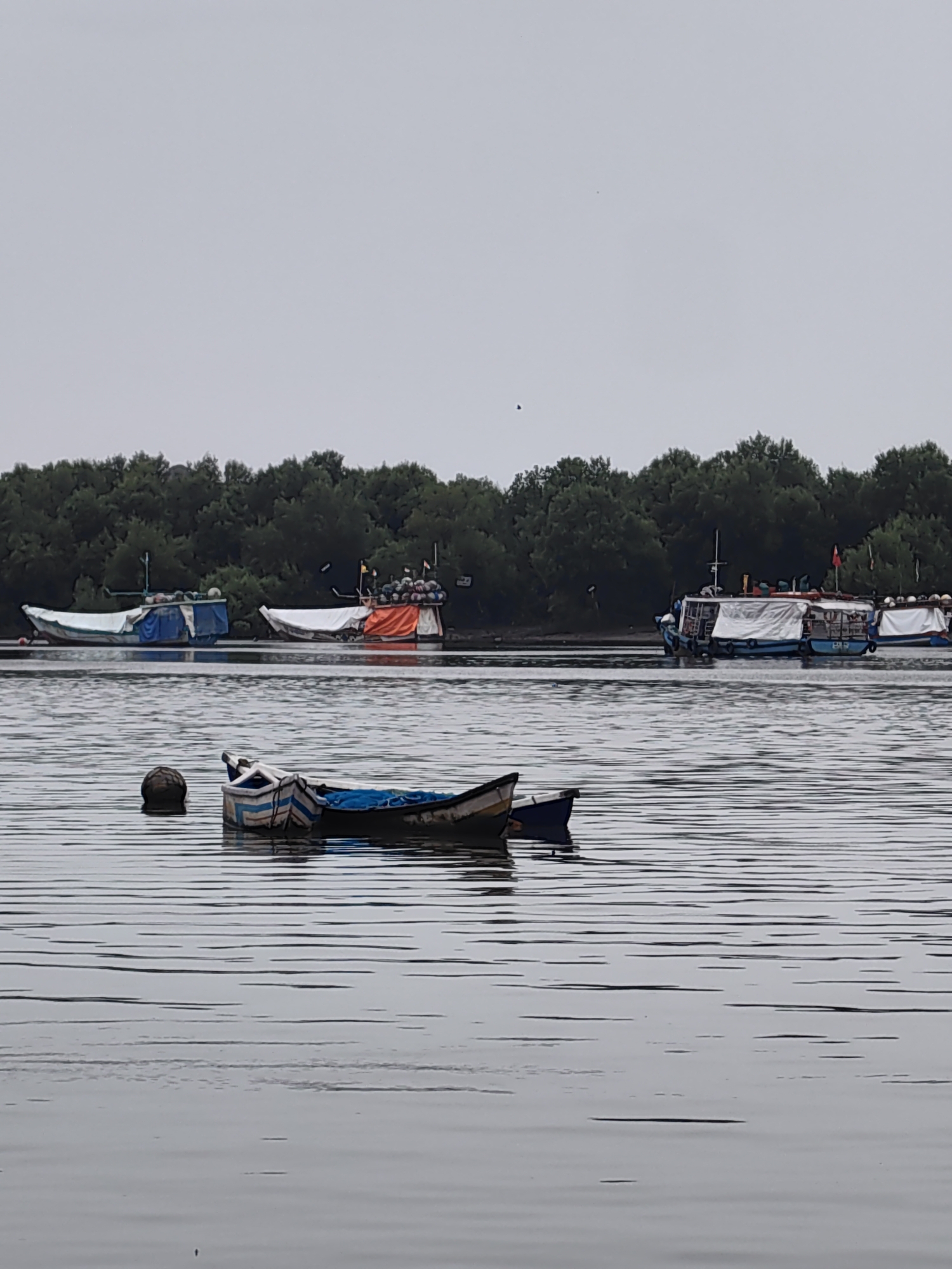 The image depicts a tranquil scene at the Thane Creek, a large tidal inlet of the Arabian Sea that forms the boundary between the city of Mumbai and the Thane district in Maharashtra, India. The sky is overcast, casting a diffused light on the water and surrounding mangrove forests.
In the foreground, two small wooden fishing boats are moored. One is a traditional narrow boat with blue and white stripes, partially covered by a blue tarp. A round, dark object, possibly a buoy or a fishing float, is visible near it. The other boat is larger, with a white hull and blue trim, also covered by a tarp. The water is calm, with subtle ripples disturbing the reflection of the boats and the sky.
In the middle ground, several larger boats are anchored closer to the shore. These appear to be commercial vessels, some covered with white and orange tarps, possibly for protection from the elements or for storage. One boat has a small flag at its stern.
The background is dominated by a dense line of dark green mangrove trees, characteristic of the coastal ecosystem of Mumbai. The trees form a thick, continuous band along the horizon, suggesting a natural reserve or a protected area. The overall impression is one of a peaceful, working waterfront, integrated with the natural environment.