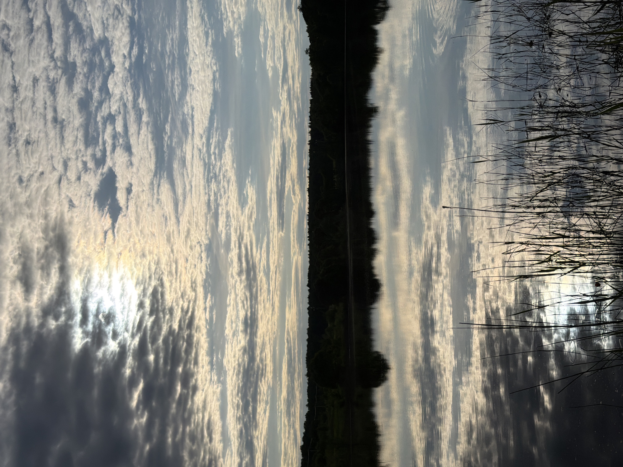 The image captures a serene waterscape at what appears to be either sunrise or sunset, characterized by dramatic cloud formations and their reflections. The scene is devoid of human activity, focusing on the natural environment.
When viewed correctly oriented (rotated 90 degrees counter-clockwise), the upper half of the image showcases a dynamic sky filled with textured, altocumulus or stratocumulus clouds. The sun, partially obscured by darker clouds on the left, casts a brilliant glare, illuminating the edges of surrounding clouds with bright white and golden hues. Other cloud patches appear darker grey, indicating shadowed areas, creating a strong contrast across the sky.
A dark, slender band of silhouetted trees or dense vegetation forms a distant shoreline, stretching horizontally across the middle of the frame. This landmass separates the sky from the body of water below.
The lower half of the image features the surface of the water, which acts as a near-perfect mirror. It clearly reflects the expansive sky, the intricate cloud patterns, and the distant tree line, almost symmetrically. Subtle ripples on the water's surface introduce a gentle distortion to these reflections, particularly towards the foreground.
On the right side of the image, slender, tall reeds or grass emerge from the water, silhouetted against the bright reflections. These foreground elements add depth and frame the tranquil scene. The overall atmosphere is peaceful and natural, emphasizing the beauty of light, clouds, and water. No visible text is present. The suggested location context is Satino-Russkoe, Russia.