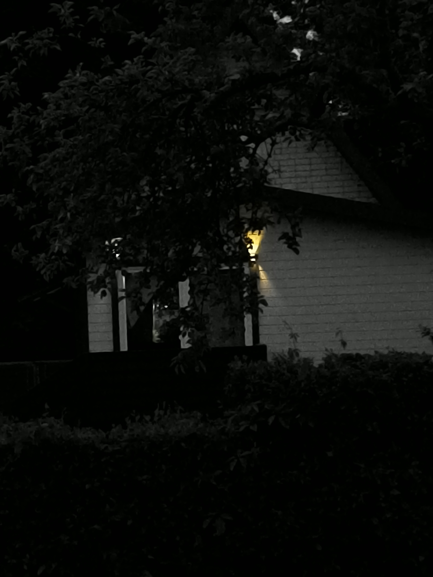 The image depicts a dimly lit scene at night, featuring a residential building with a window illuminated by a warm yellow light. The building appears to be situated in Dercekliai, Lithuania, as indicated by the prompt. Overhanging foliage from a nearby tree partially obscures the view of the building and the light source. The foreground is dominated by dark vegetation, creating a sense of depth and shadow. The overall atmosphere is one of quiet solitude and mystery, with the single light source drawing attention to a hidden interior. No individuals are visible in the scene. The building's exterior shows a textured surface, possibly brick or siding, which is illuminated by the external light. The branches of the tree are dark and leafy, suggesting a lush natural environment surrounding the property.
