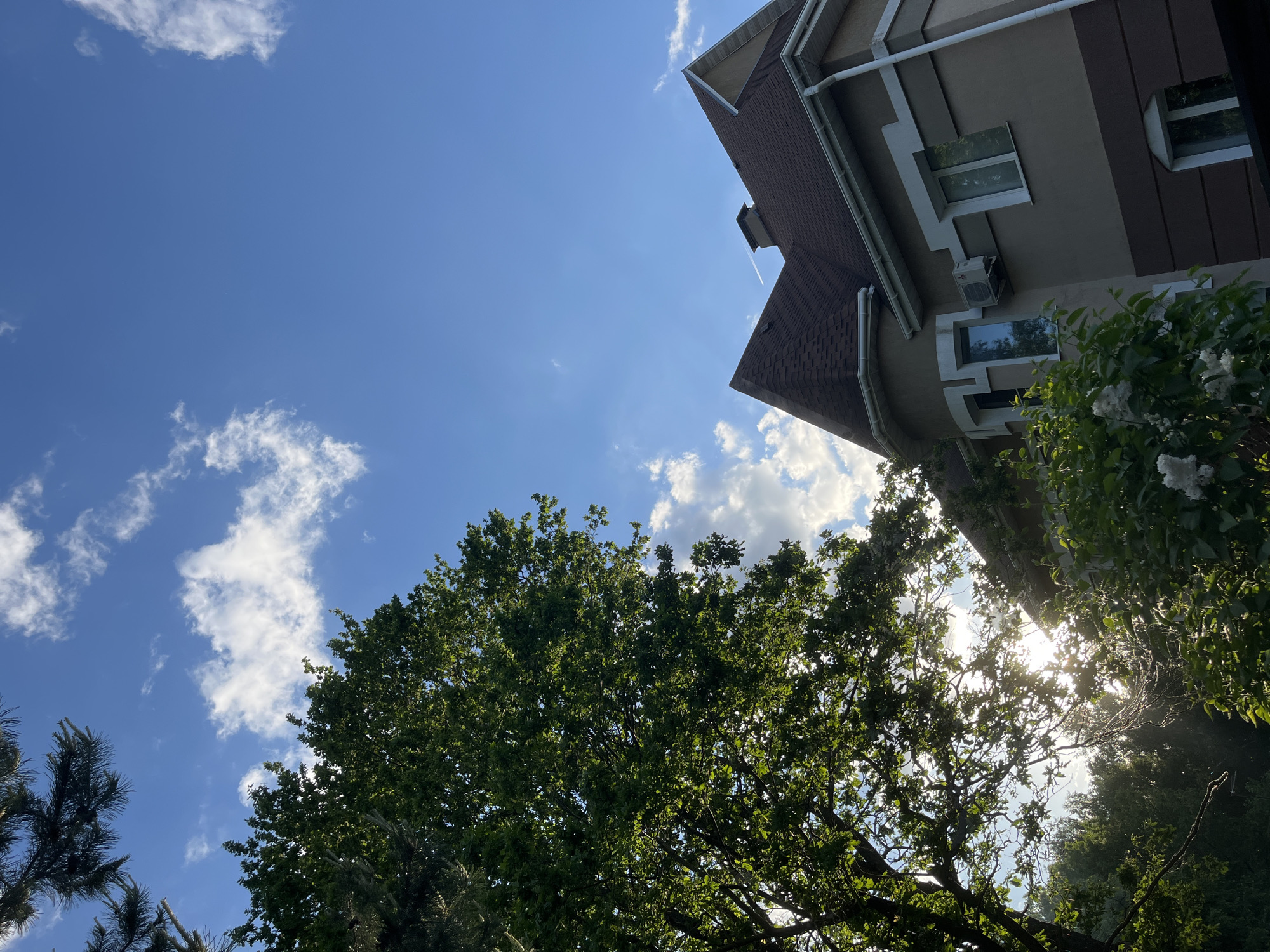 The image is a low-angle shot of a house and trees against a blue sky with scattered white clouds. The house, located in Bogdanikha, Russia, has a brown shingled roof and beige exterior walls with dark brown trim. There are windows and an air conditioning unit visible on the side of the house. A large tree with green leaves occupies the lower portion of the frame, partially obscuring the sun, which creates a bright glare. Another, smaller tree is visible to the lower left. The sky is blue with scattered white clouds.