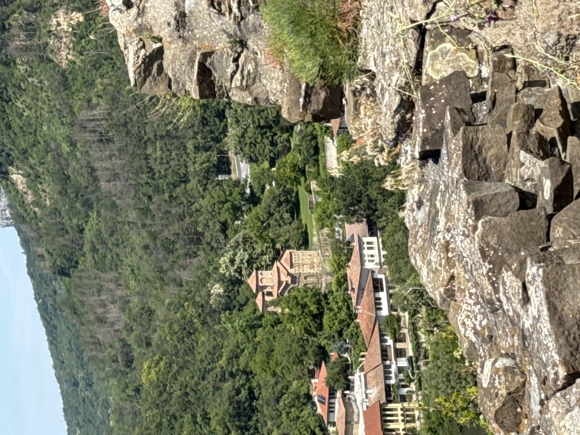 This is a daytime, eye-level, medium shot of a historic church nestled within a lush, green hillside in Veliko Tarnovo, Bulgaria. In the foreground, large, rough-hewn rocks form a natural barrier, with patches of white lichen and sparse vegetation growing amongst them. Beyond the rocks, a cluster of red-tiled roofs belonging to traditional Bulgarian houses is visible. The church itself, with its distinct domed architecture and stone construction, stands prominently in the middle ground, surrounded by mature trees. The background features a densely forested hillside that rises towards a hazy sky, with a portion of a road winding through the trees. The overall scene conveys a sense of historical preservation and natural beauty.