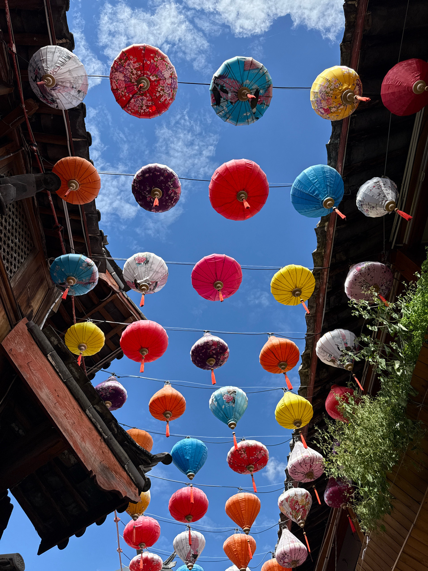 In Gucheng District, China, a vibrant street scene unfolds under a bright blue sky with scattered white clouds. Numerous colorful Chinese lanterns are strung across the frame, creating a festive overhead canopy. The lanterns vary in color, including red, yellow, blue, pink, purple, and white, and many are adorned with intricate floral patterns. They hang at different heights, suspended by thin wires. Traditional Chinese architecture, with dark tiled roofs and wooden beams, frames the lanterns from the sides. Lush green foliage cascades down from some of the buildings, adding a natural element to the urban setting. The image captures a cheerful and culturally rich atmosphere, characteristic of a lively marketplace or a festive celebration in a Chinese city.