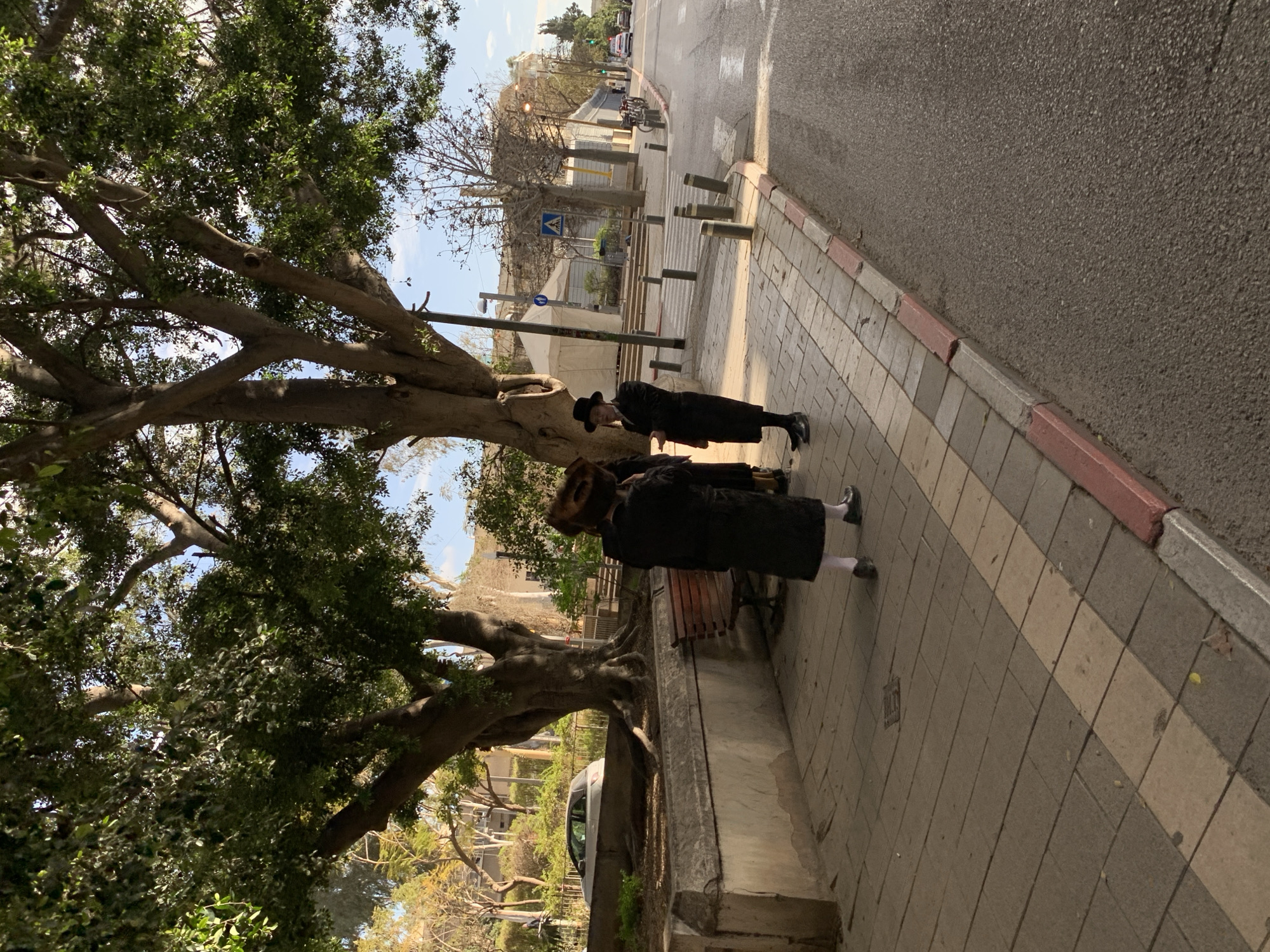 Two Orthodox Jewish men are standing on a sidewalk. One is wearing a fur hat and a black coat, and the other is wearing a black hat and a black coat. They are standing next to a large tree. A street and building are in the background. This scene is likely in the city of Tel-Aviv, Israel.