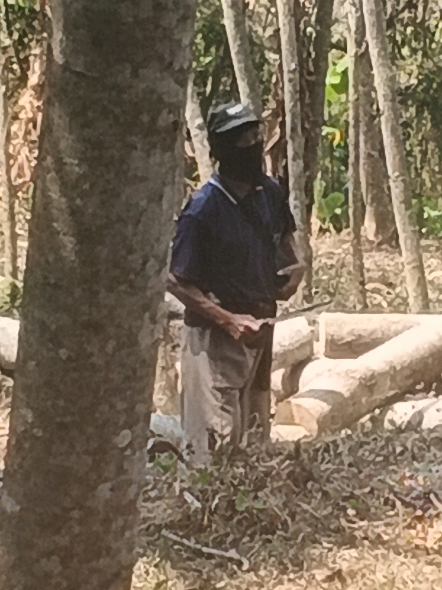 A person stands in a forest environment in Bandarjo, Indonesia, appearing to be working with logs. The individual is wearing a dark blue collared shirt, light-colored shorts, and a black cap or head covering that obscures their face. In their right hand, the person holds a tool, possibly a knife or machete, and their left hand rests on a log. The background consists of a dense arrangement of thin trees, and several large logs are visible in the foreground and midground, some appearing freshly cut. The ground is covered with dry leaves and debris. The lighting suggests it is daytime.