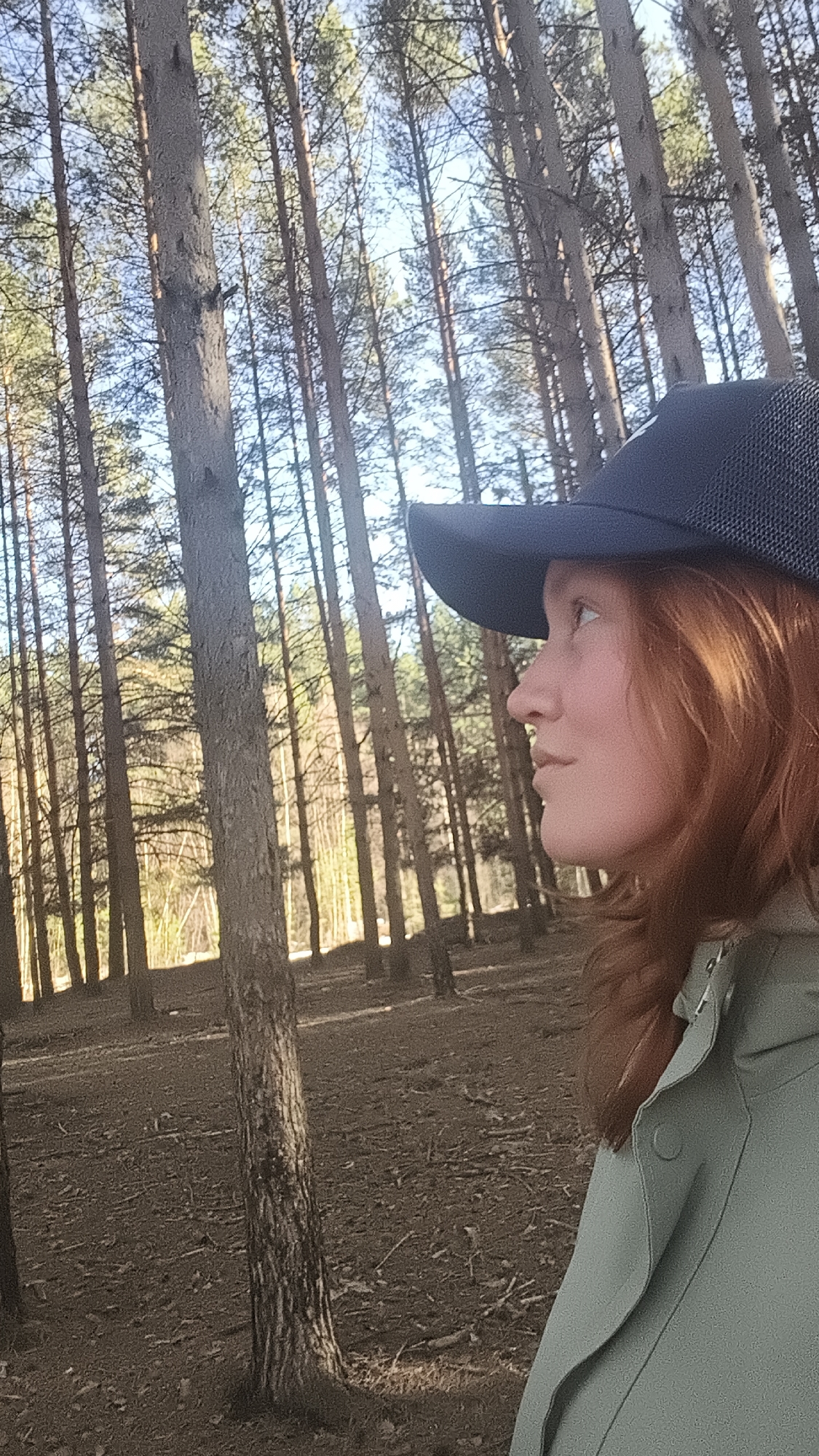 A close-up, slightly upward-angled portrait captures a woman in profile on the right side of the frame, set against a dense pine forest backdrop in Chaikovsky, Russia. The woman has reddish-brown hair, which is visible beneath a dark, possibly navy blue, baseball cap. She is wearing a light green or sage green jacket. Her face is turned to the left, looking forward and slightly upward, displaying a neutral to contemplative expression with a subtle hint of a smile.
The background is dominated by numerous tall, slender pine trees, creating a dense woodland environment. Sunlight filters through the tree canopies, illuminating the scene and casting bright patches on the forest floor, which is covered in pine needles and dried leaves. The sky, visible between the trees, is a clear light blue. The lighting suggests a bright, sunny day, likely during the late morning or afternoon. No text is visible in the image.