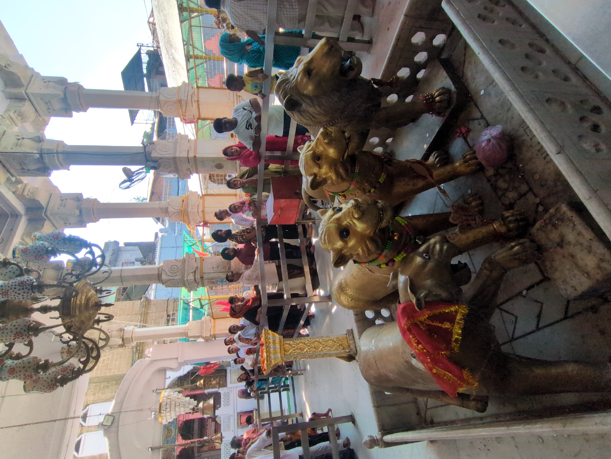 The image shows the interior of a temple in Kangra, India, likely a Hindu temple, given the statues and attire of the people. In the foreground, there are several gold-colored statues of lions and possibly a camel, which appear to be offerings or decorative elements within the temple. The statues have intricate details and some are adorned with fabric and garlands.
A group of people, appearing to be devotees, are standing behind a railing, observing the statues. They are dressed in traditional Indian clothing, with men wearing shirts and some women wearing colorful saris and headscarves. The architectural style of the temple is evident with large pillars, ornate chandeliers, and decorative stonework. Sunlight streams into the temple, illuminating the scene. The overall atmosphere suggests a place of worship and spiritual gathering.