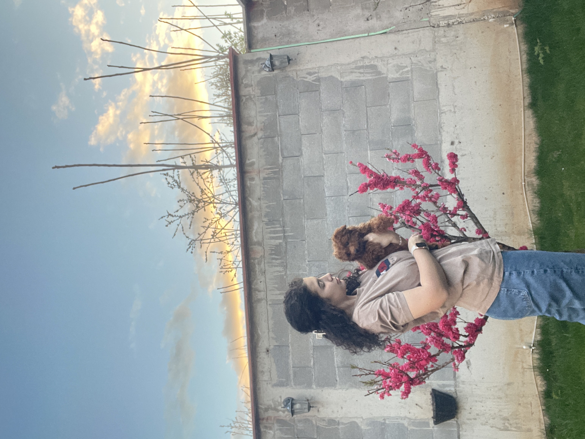 A woman with long, dark, curly hair is holding a small, brown dog. She is wearing a light brown t-shirt and blue jeans. A flowering tree with bright pink blossoms is next to her. Behind them is a concrete block wall with two outdoor light fixtures. Beyond the wall are a few bare tree branches reaching towards a blue and yellow sky. A patch of green grass is visible in the corner. There is not enough information to determine the specific location in Sofia, Bulgaria.