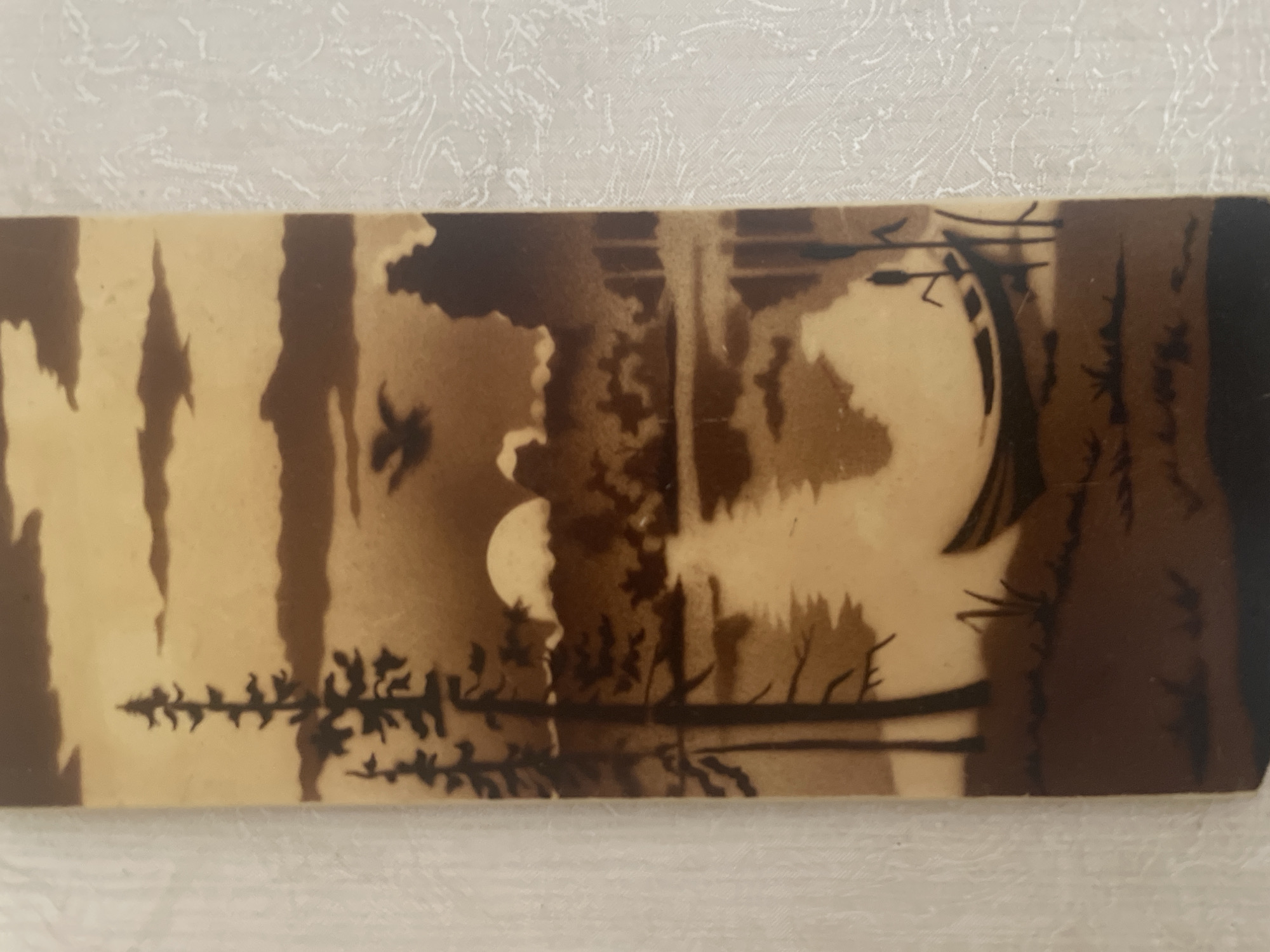 The media file displays a rectangular object, likely a bookmark, featuring a stylized nature scene in a two-tone, sepia-like palette of dark brown and light beige. The art style uses silhouettes to depict elements against a lighter background.
The scene portrays a tranquil forest landscape, possibly at twilight or night, given the prominence of a large, circular, light-colored object resembling a full moon in the left-center portion of the artwork. This moon is partially obscured by dark, silhouetted shapes that suggest trees or clouds. To the left of the moon, a small bird with outstretched wings is captured mid-flight, also in silhouette.
Dense, dark tree silhouettes form a prominent backdrop across the scene, particularly in the middle and right sections. Along the bottom edge, more detailed silhouettes of coniferous trees, possibly pines or spruces, extend horizontally, implying a foreground or a shoreline. A distinct horizontal line near the bottom suggests the presence of water, such as a lake or river, reflecting the sky and distant elements. The overall impression is one of peaceful wilderness.
There is no visible text on the object. The color scheme and art style evoke a sense of traditional craftsmanship, possibly resembling wood burning (pyrography) or a simple print.