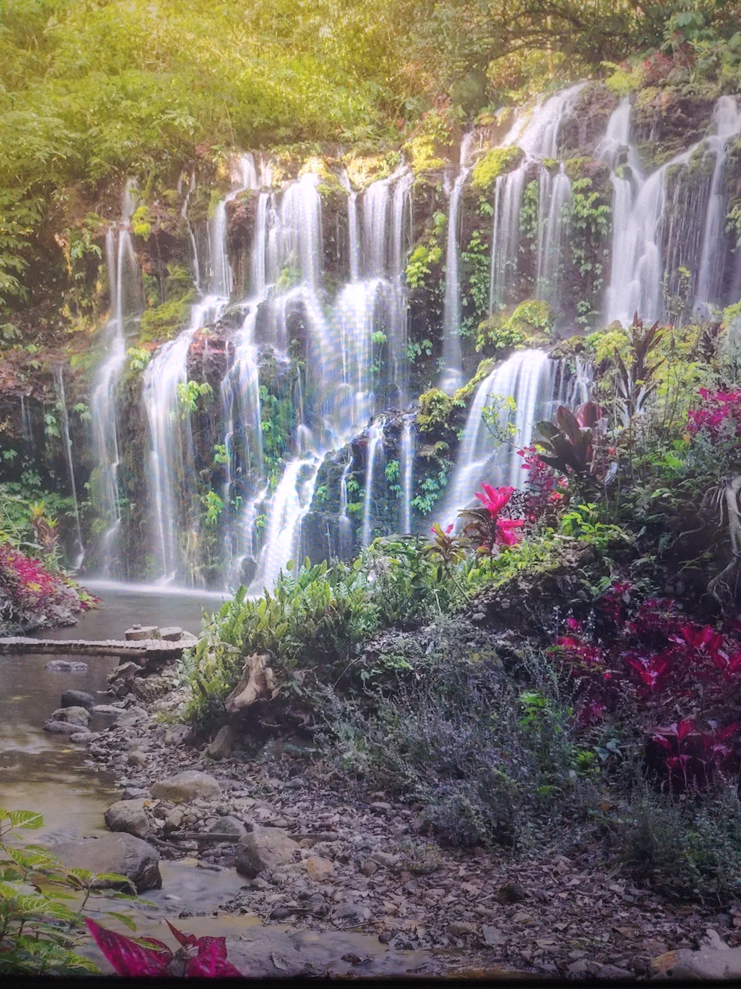 The image showcases a multi-tiered waterfall cascading down a mossy, vegetated cliff face. Lush greenery, including ferns and flowering plants with vibrant pink and red foliage, surrounds the falls. A small, rustic bridge made of stone and wood spans a stream at the base of the falls. The ground is covered in pebbles and leaf litter. The location is Unknown, Unknown.