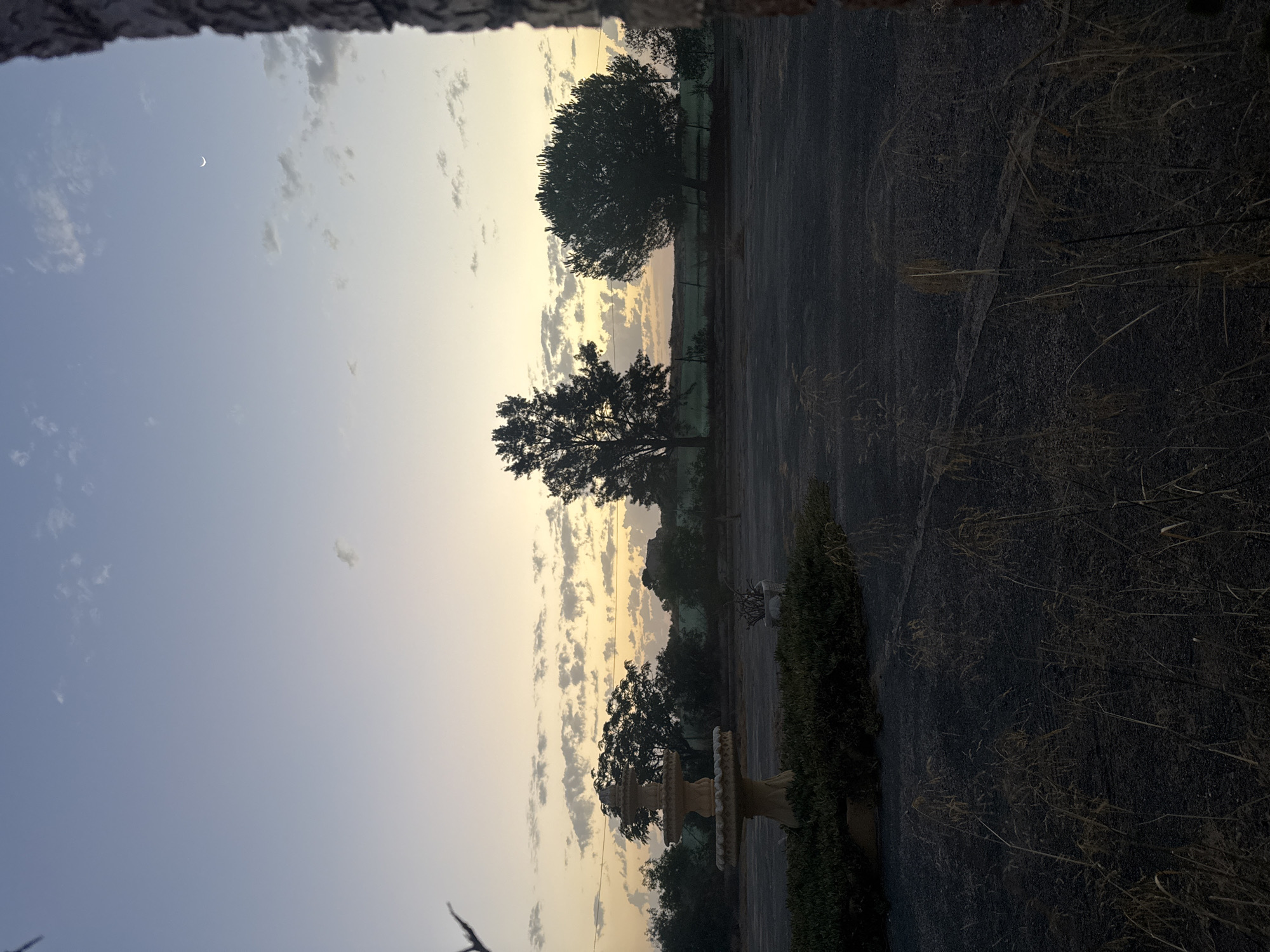 The image depicts a twilight scene in Corvera, Spain. In the foreground, dry grass is scattered across a dark, paved surface, likely a road or parking lot. To the left, a tiered fountain sits atop a mound of dense green foliage. Beyond this, a line of trees stretches across the midground, with a fence visible in some areas. The sky transitions from a pale yellow at the horizon to a soft blue higher up, with scattered clouds and a sliver of the crescent moon visible. The right edge of the image is partially obscured by the rough, textured bark of a tree trunk.