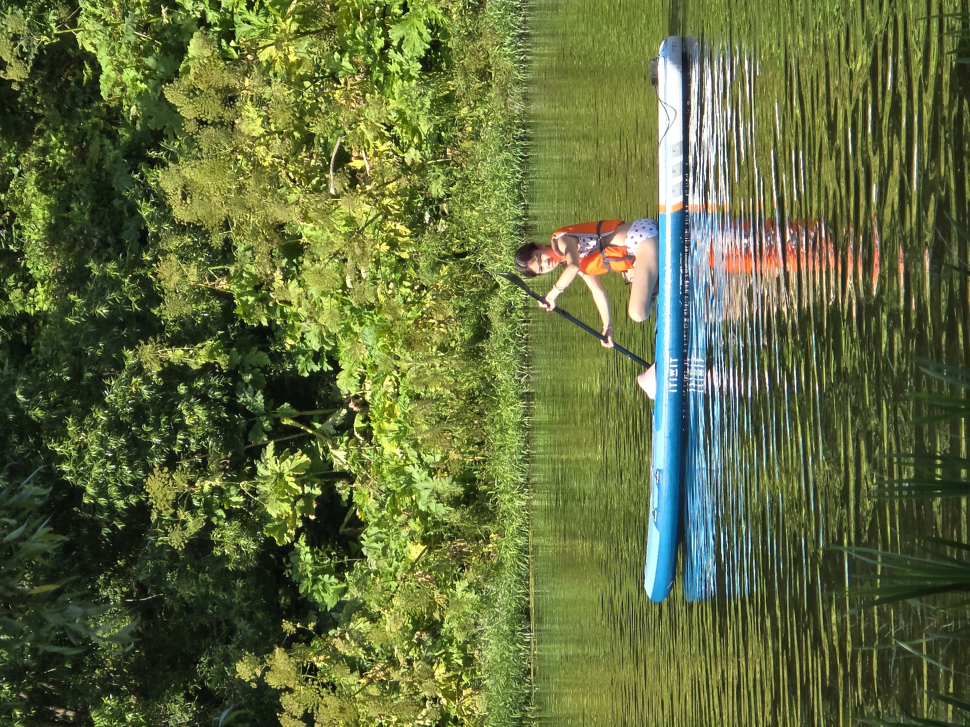 A young person, wearing an orange life vest and patterned shorts, is seated on a blue and white paddleboard in a calm body of water. They are holding a paddle, with the blade submerged in the water to the right of the board, and appear to be looking towards the camera. The paddleboard has the branding "ITIWIT" visible on its side. The water reflects the surrounding environment, which consists of lush green vegetation and trees lining the distant shore. The vegetation is dense and varied, with some plants appearing larger and with broad leaves, interspersed with smaller leafy bushes and some seed heads. The overall scene suggests an outdoor recreational activity on a sunny day. The specific location in the city of Voinskaya Chast' Mchs, Russia, cannot be determined from the visual information alone.