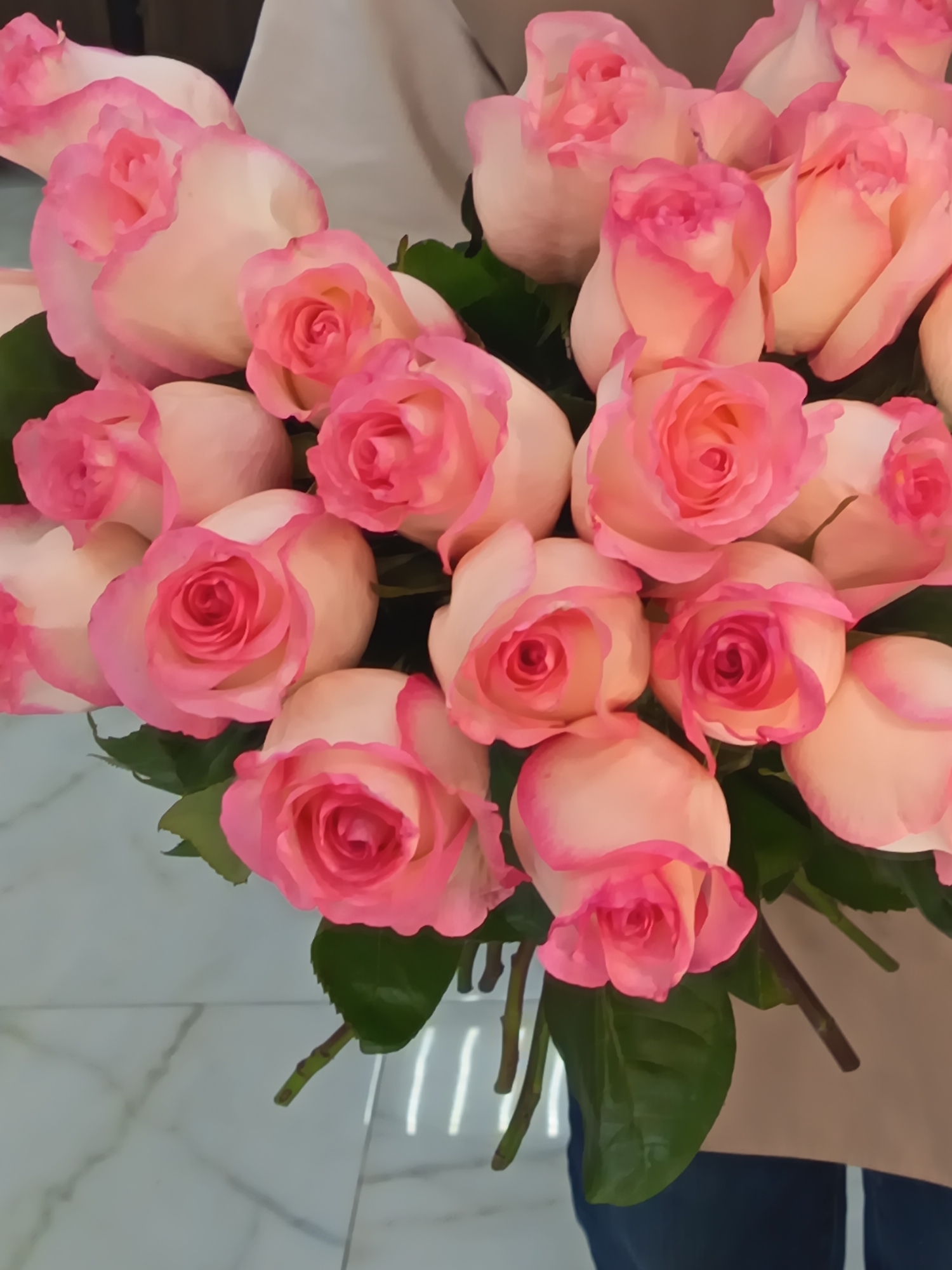 The image displays a vibrant, large bouquet of numerous bicolor roses, predominantly featuring shades of pink and white. Each rose showcases creamy white or very pale pink petals that transition dramatically to a vivid, deeper pink along their edges, creating a distinct two-toned effect. Lush green leaves are interspersed among the blossoms and stems, providing a verdant contrast.
The bouquet is held by a person, with a hand and a portion of blue clothing, likely jeans or trousers, faintly visible at the bottom of the frame. The background consists of a soft, light-toned surface, possibly a wall or fabric, along with a light-colored, reflective tiled floor, suggesting an indoor setting. The lighting appears bright and natural, indicating daytime. The arrangement suggests a moment of gifting or a display of appreciation. No visible text is present in the image. This scene was captured in Nizhnevartovsk, Russia.