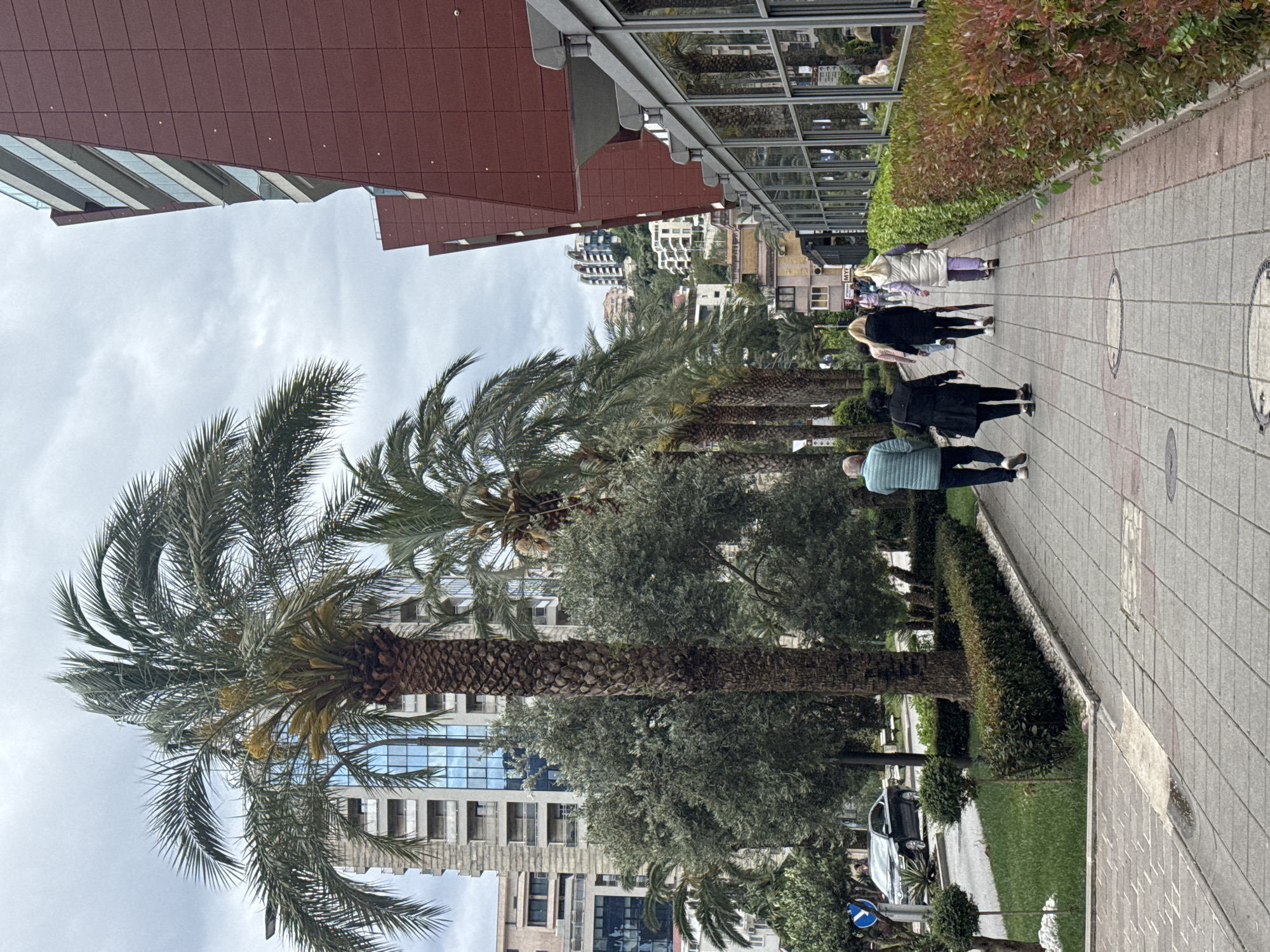 The image captures an urban outdoor scene, likely a promenade or a wide street in Budva, Montenegro, under an overcast sky. A paved pedestrian sidewalk stretches from the foreground into the distance on the right side of the frame. To the left of the sidewalk, a row of tall palm trees with green fronds and textured trunks stands alongside dense green bushes and other trees, forming a natural barrier.
Several people are walking along the sidewalk, moving from right to left (if the image were correctly oriented horizontally). In the foreground, a person wearing a light blue quilted jacket and dark pants leads, followed by another individual in a black coat. Further along the path, other pedestrians include a person in a black top, another in a light purple jacket pushing a trolley or cart, and additional figures in the background.
To the right of the sidewalk, modern multi-story buildings dominate the skyline. One building features large, reflective glass windows that mirror the sky and surrounding environment, while another displays a distinct reddish-brown architectural style with sloped sections. In the distance, other white-facade buildings with multiple balconies are visible.
The sky is a uniform light gray, indicating a cloudy daytime with soft, diffused lighting. The combination of palm trees, contemporary architecture, and pedestrian activity creates a vibrant Mediterranean urban atmosphere. A dark-colored car is partially visible parked near the greenery, and a blue circular street sign can be seen among the trees. Circular decorative inlays are embedded within the sidewalk paving. Any visible text on signs in the distance is too indistinct to be clearly read.