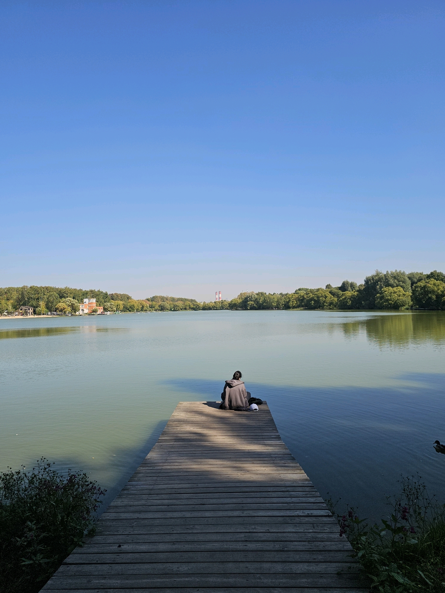 A person sits on the edge of a wooden pier, facing a calm lake on a clear day. The pier is made of weathered wooden planks and extends into the water. The lake's surface reflects the bright blue sky. In the distance, across the lake, is a treeline with a few buildings and two tall industrial chimneys with red and white tops. There are some bushes and flowers on the left and right sides of the pier. A duck swims in the water to the right of the pier. The scene appears to be set in a park or recreational area within the city of Moscow, Russia, potentially in a location like Izmaylovo Park, known for its large bodies of water and recreational facilities.