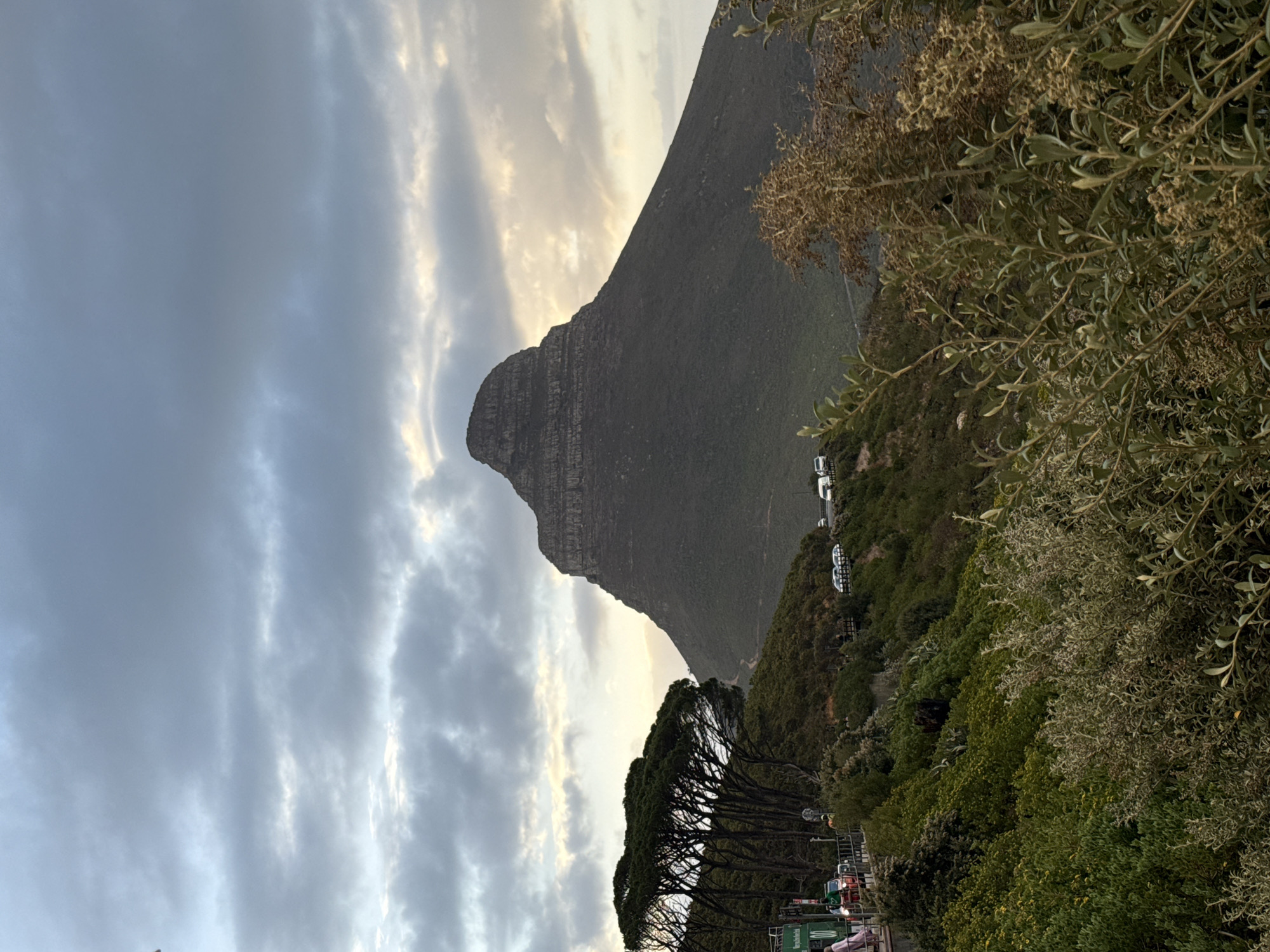 This outdoor shot, taken in Cape Town, South Africa, features Lion's Head mountain under a cloudy sky. The mountain dominates the frame, rising behind lush green foliage with scattered trees in the foreground. Several vehicles are visible on a road alongside the mountainside. The image is shot at an angle.