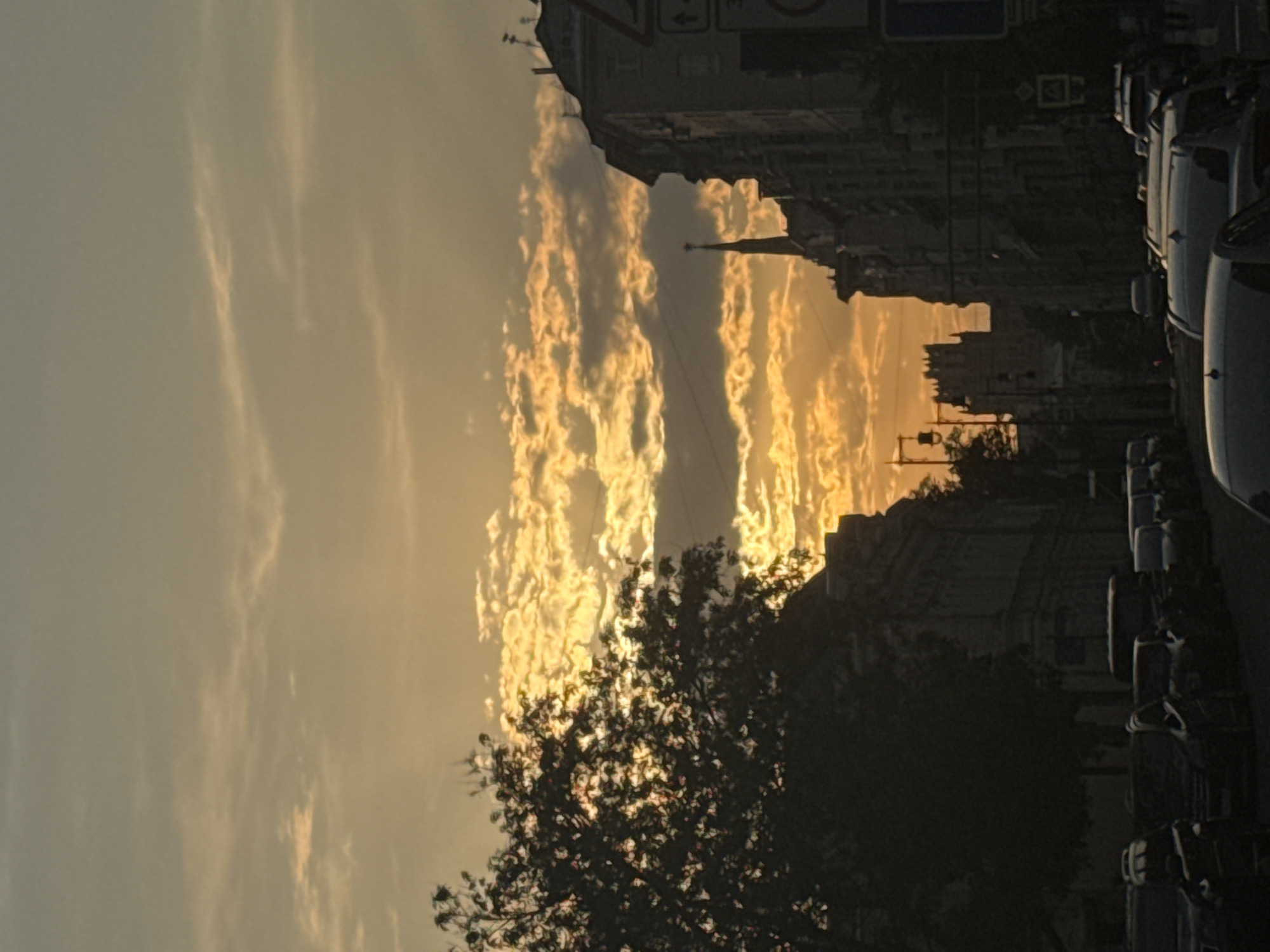 A view oriented east to west shows a Moscow street during a sunset or sunrise, the silhouettes of buildings against the sky on the south side of the street. Many cars are parked along the north side of the street. The western horizon shows golden and pinkish clouds. A tree, its leaves not fully open, occupies the foreground. A tall spire rises from one of the buildings.