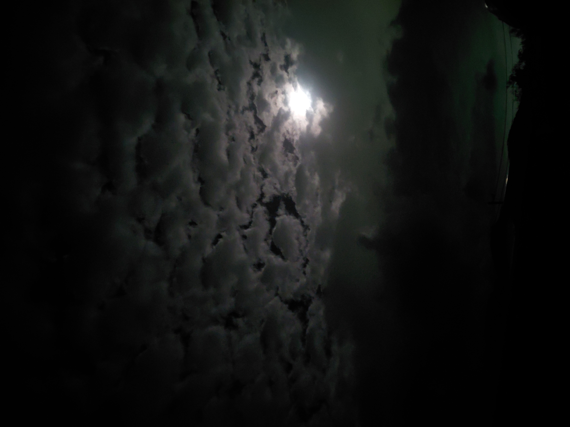 The image captures a dark, cloudy night sky. A brilliant, intense light source, strongly resembling the moon, is partially visible and obscured by a thick formation of lumpy, uneven clouds, dominating the upper-middle section of the frame. The sky is predominantly composed of dark grays and blacks, with the clouds varying in shade from lighter gray where illuminated to deeper, shadowed tones. A subtle greenish hue is discernible in the darker atmospheric areas, particularly towards the upper right of the image.
On the far right edge, a vague, dark silhouette, possibly representing distant vegetation or a structure, is visible against the night sky. The scene clearly depicts nighttime conditions. No individuals, identifiable objects other than atmospheric phenomena, or text are present. The location context provided is Santa Ana, Venezuela, though the image itself does not contain specific geographical markers to confirm this.