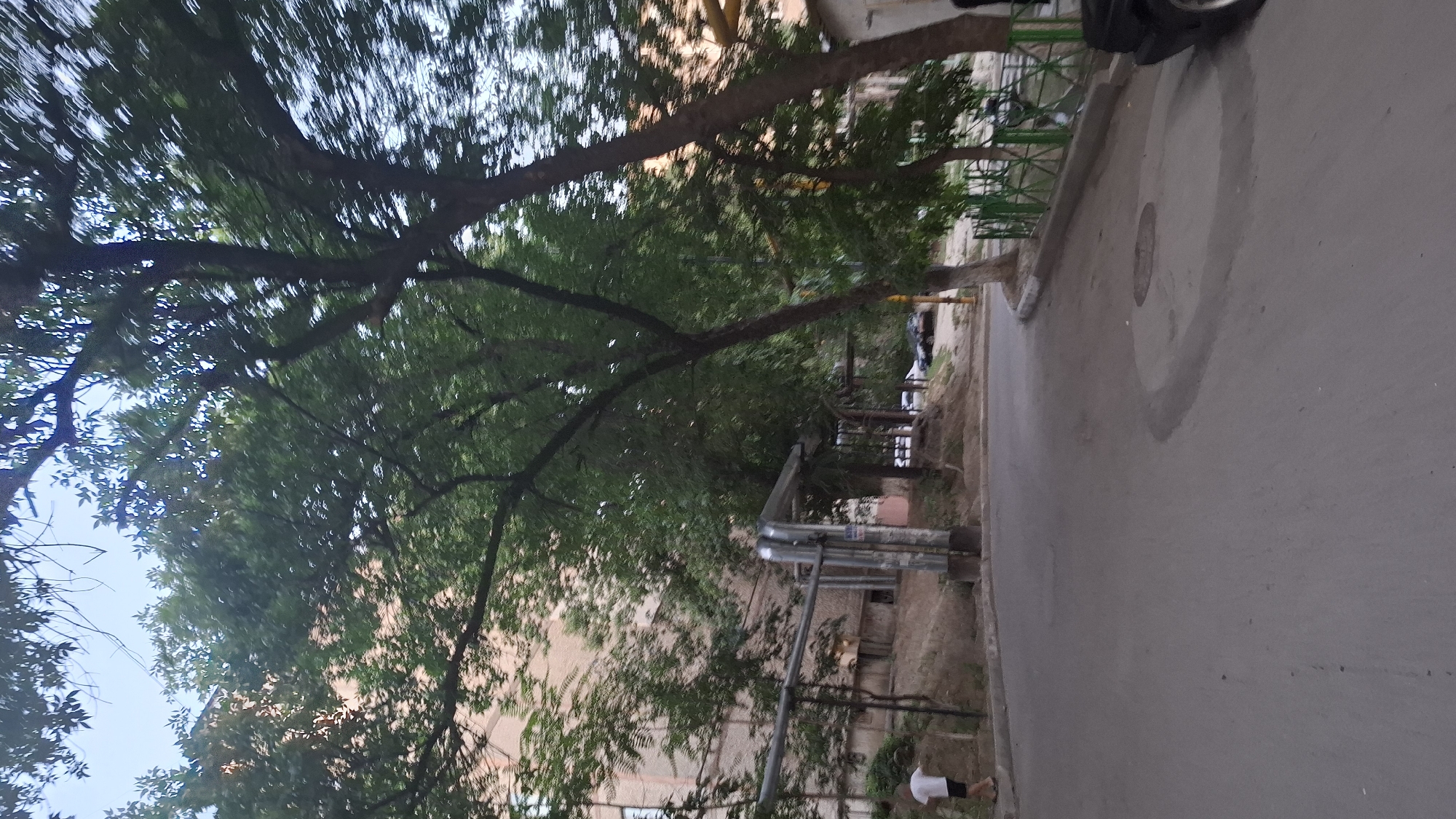 The image depicts an outdoor scene in a residential area, likely in Shymkent, Kazakhstan, with trees lining a paved road. A person, appearing to be a young male wearing a white t-shirt and dark shorts, is walking on the left side of the road, facing away from the camera. Adjacent to the road is a building with light-colored walls. Several large trees with dense green foliage dominate the frame, casting shadows on the road and surroundings. In the background, there are more buildings and parked vehicles, suggesting a typical urban environment. The road itself shows signs of wear, with some patches and a manhole cover visible. A decorative green fence runs along the right side of the road. The overall atmosphere suggests a casual daytime setting.
