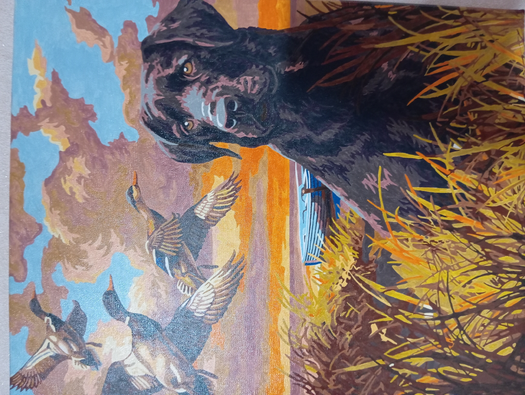 The image depicts a painting of a black Labrador Retriever sitting in tall grass, looking towards the viewer. In the background, a flock of ducks flies across a sky with dramatic clouds in shades of pink, orange, and blue, suggesting a sunset or sunrise. A body of water with a boat can be seen in the middle ground. The painting style is somewhat impressionistic, with visible brushstrokes. The scene is not identifiable as being located in the city of Barnaul, Russia, or any specific urban environment. It appears to be a nature or wildlife scene.