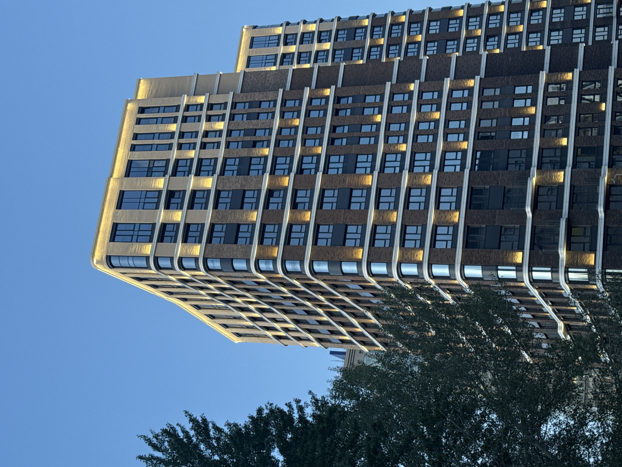 A low-angle shot of a modern high-rise building in Perm, Russia, against a clear blue sky. The building features a tiered design with multiple floors of windows, with a tan colored structure and dark brown cladding. The lower floors have a curved overhang. A large tree with dense foliage is visible in the foreground, partially obscuring the lower part of the building. The architecture style is modern and contemporary.