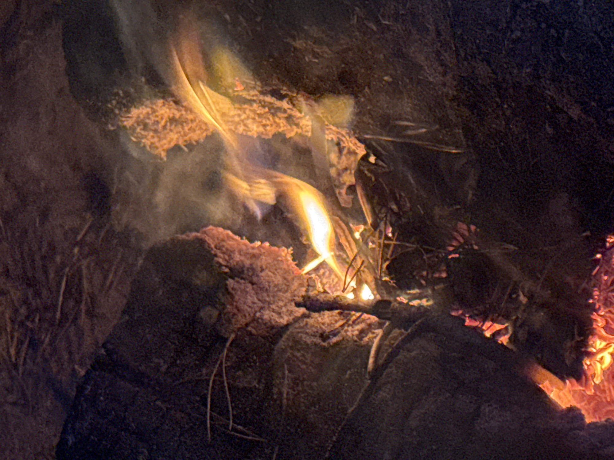 The image depicts a close-up of a fire burning in a dark, outdoor environment, reportedly located in Shepelevo, Russia. The lower portion of the frame is dominated by intense orange and red glowing embers and active flames. Ascending from these, thinner, yellowish-orange flames intermingle with plumes of smoke or heat haze, which are faintly visible against the darker background.
Within and immediately surrounding the combustion, multiple pieces of irregular, dark, organic material, consistent with wood or debris, are present. Several of these pieces are visibly glowing or actively combusting. On the left side of the frame, a large, dark, textured mass with an uneven, porous surface is partially illuminated by the fire's glow. Towards the upper right, another textured, lighter-colored mass appears to be actively burning, surrounded by flames and wisps of smoke.
The background consists of dark, granular, or earthy material, receiving minimal illumination from the fire, indicating a low-light setting. No individuals or discernible man-made objects, beyond the apparent fuel for the fire, are visible within the frame. The scene captures the immediate visual details of a localized, active burn.