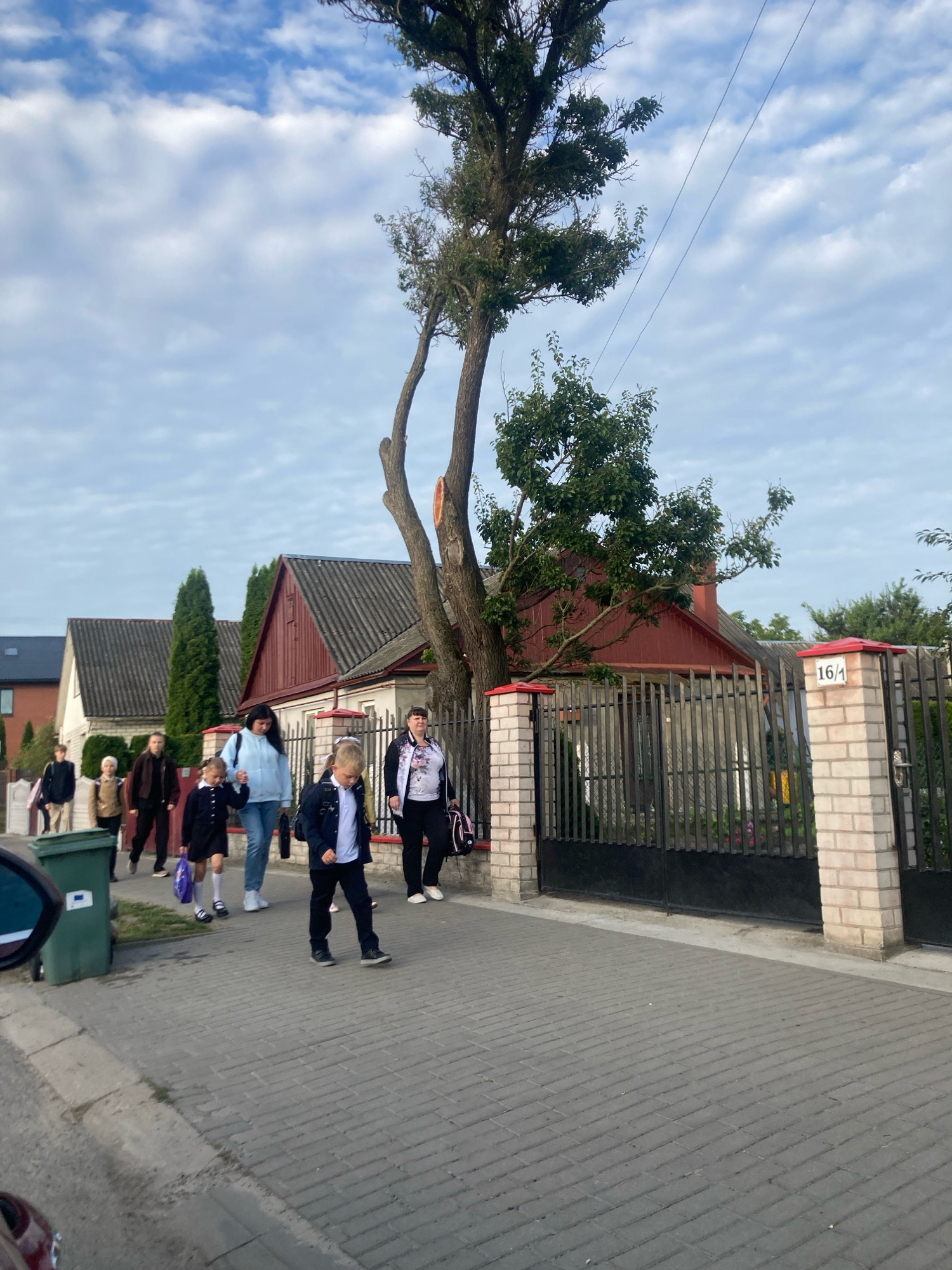 The image depicts a street scene in Brest, Belarus, featuring a group of people walking along a paved sidewalk next to houses and a fence. A large tree with a broken branch dominates the foreground. Several individuals, including children in school uniforms and adults, are walking from left to right. One child in a black uniform with white socks is being led by a woman in a light blue sweater. Another child in a similar uniform is walking ahead, carrying a purple bag. An adult woman in a white shirt with a floral pattern is walking behind them, carrying a pink bag. The houses have grey tiled roofs and red accents. The fence is made of black metal bars, supported by brick pillars. A green trash bin is visible on the left side of the sidewalk. The sky is cloudy. The street appears to be residential.