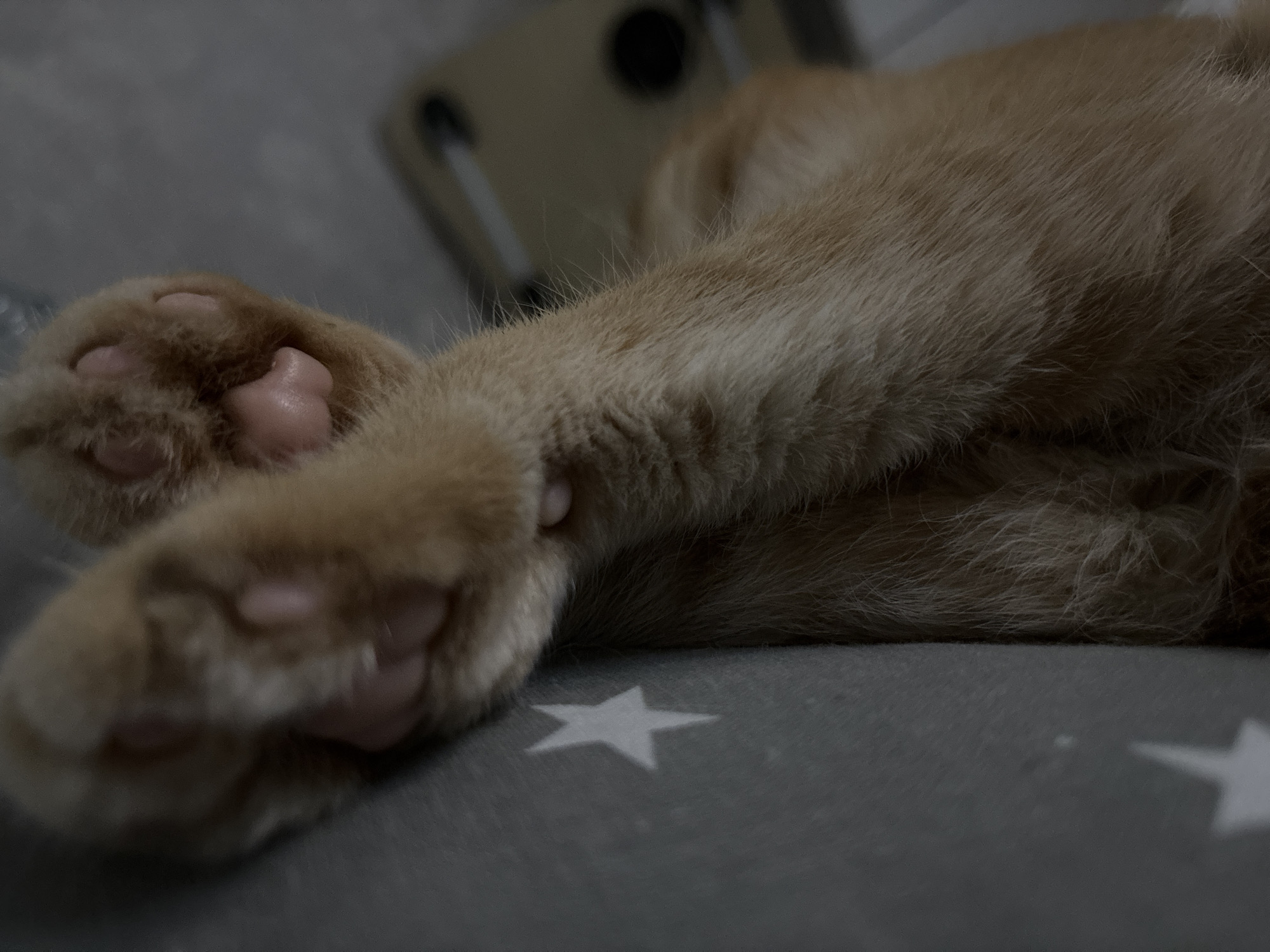 A close-up, overhead shot shows the paws and lower legs of an orange cat lying on a grey surface with white stars. The cat's pink toe beans are visible on its crossed paws. The background is blurred and shows what appears to be a light-colored object with dark circular elements. The scene is indoors and is not associated with a specific city or location.