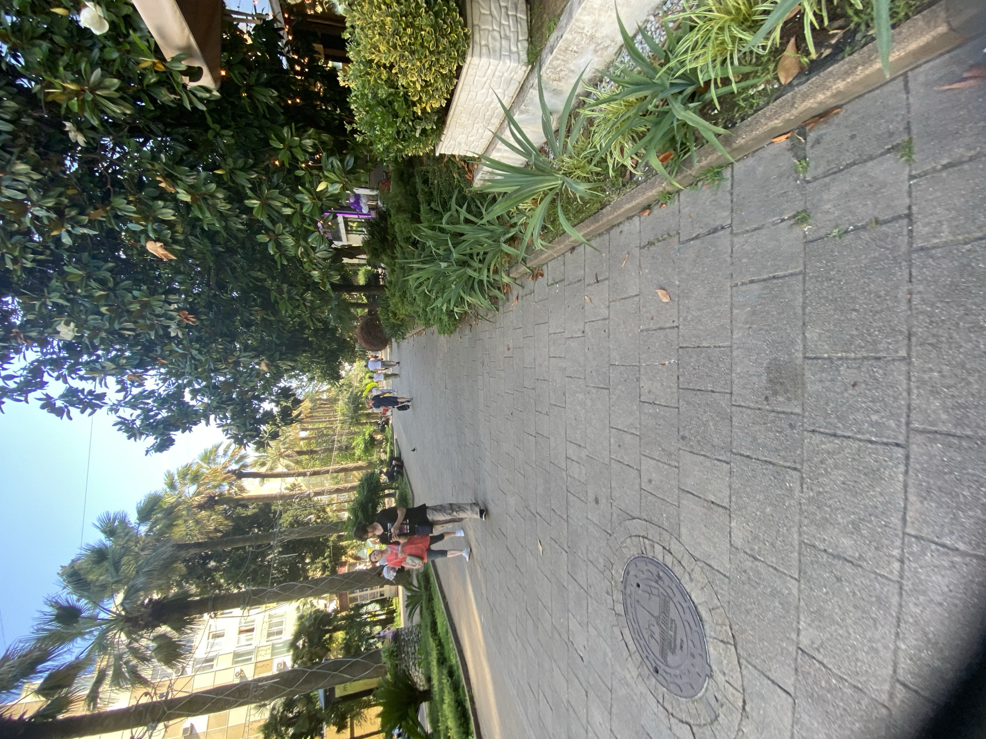 The image depicts a sunny day in a pedestrian walkway lined with lush greenery and palm trees, suggesting a tropical or subtropical climate. The walkway is paved with grey square tiles, and a circular manhole cover with embossed text is visible in the foreground.
Several people are present, walking along the path. In the mid-ground, a couple is walking together; the woman in front is wearing a pink top and shorts, and the man behind her is in a black t-shirt and camouflage shorts. They appear to be casually strolling, possibly on vacation. Further down the path, other individuals and small groups can be seen walking, indicating a public space where people enjoy outdoor activities.
The scene is set against a backdrop of buildings with light-colored facades and numerous windows, hinting at a developed urban or resort area. The presence of tall palm trees and dense foliage suggests a warm climate, consistent with the location context of Sochi, Russia, known for its subtropical environment and seaside resorts. The bright sunlight and clear sky indicate fair weather. The overall mood is relaxed and pleasant, typical of a leisurely day in a scenic outdoor location.