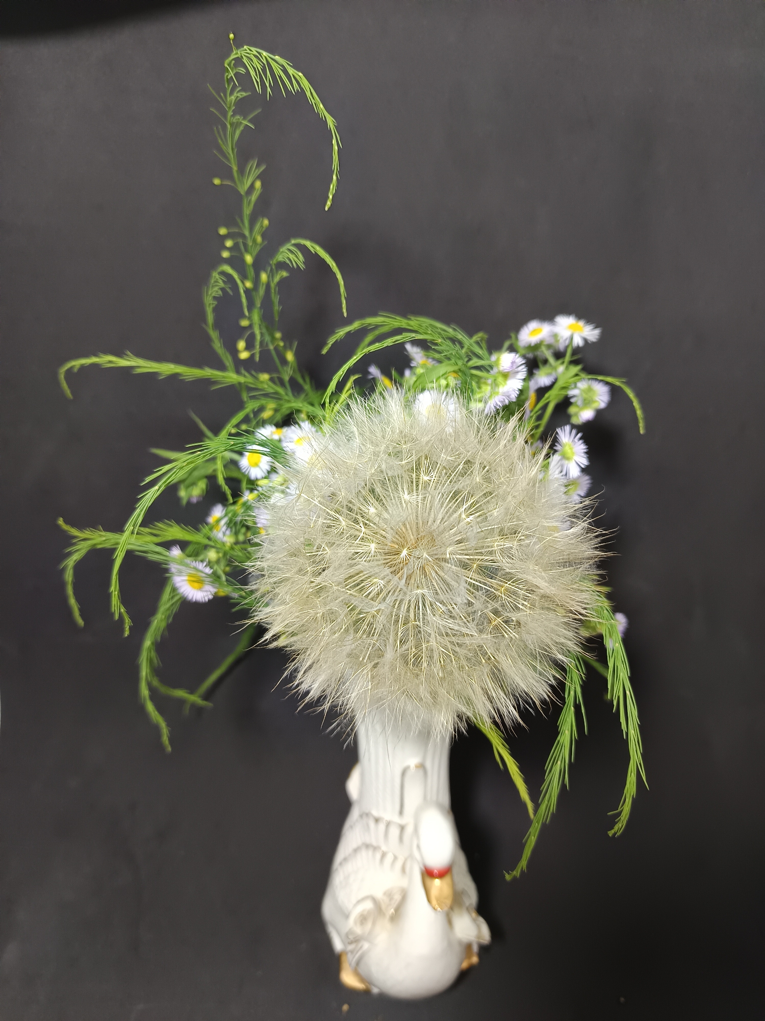 This media file features a close-up shot of a whimsical floral arrangement in a white ceramic vase shaped like a swan. The swan vase has a red beak and gold accents on its feet. The arrangement is dominated by a large, fluffy dandelion seed head. Complementing the dandelion are smaller white flowers with yellow centers, resembling daisies or asters, and delicate green foliage that adds texture and height. The background is a plain, dark surface, likely a wall or cloth, which makes the subjects stand out. The lighting appears to be artificial, casting soft shadows and highlighting the delicate details of the plants and the vase. The overall mood is peaceful and decorative, suggesting the arrangement is a still life intended for display. There is no visible text in the image. The setting is likely indoors, given the controlled lighting and plain background. The floral arrangement itself evokes a sense of nature and delicate beauty.