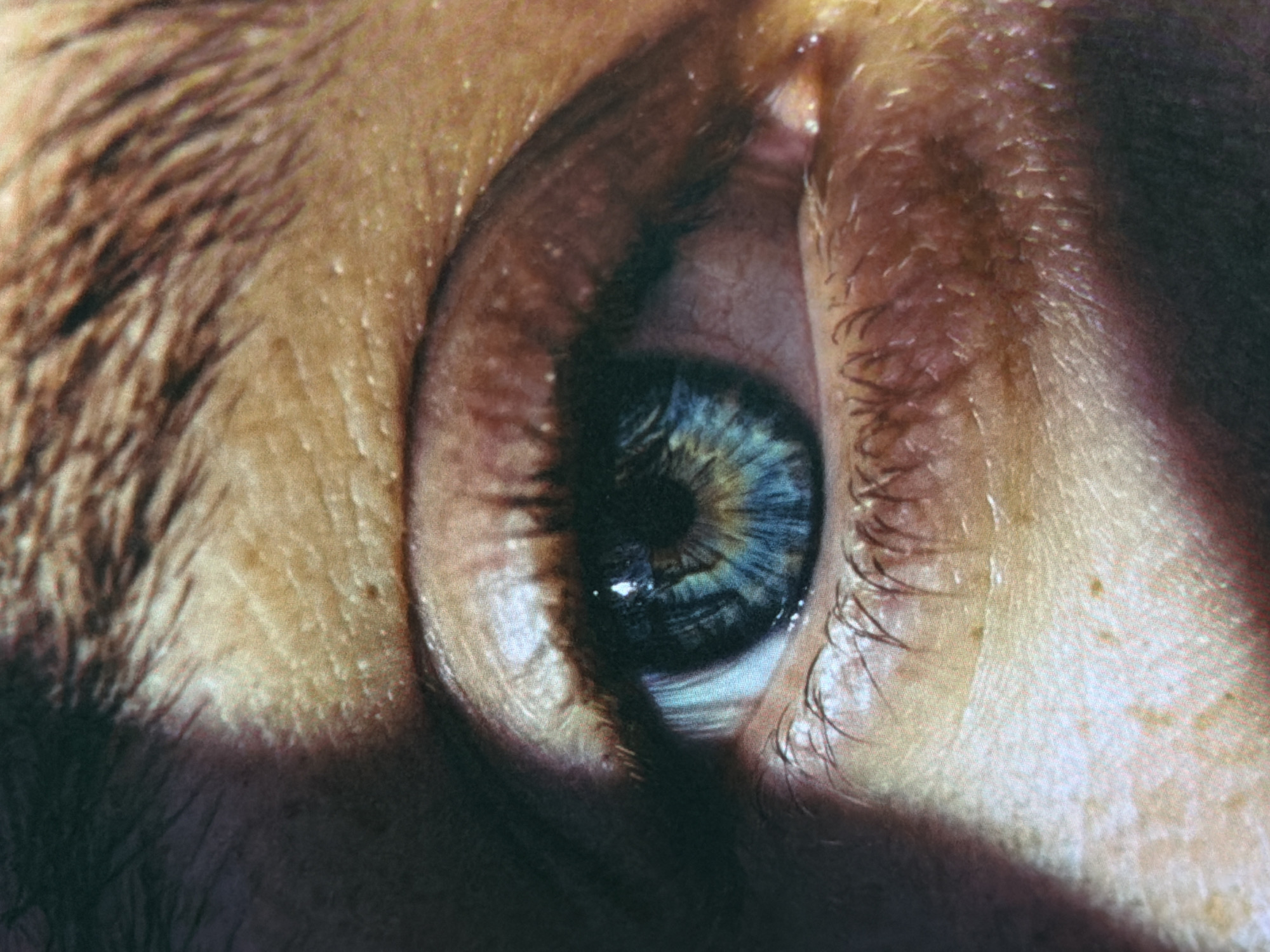 The image is a macro photograph of a human eye. The iris is a striking blue with hints of yellow and green radiating from the pupil. Eyelashes are visible, framing the eye. The surrounding skin shows texture and pores, with a shadow cast diagonally across the upper left portion of the face. There are no elements in the image that suggest a location in Bobrovo, Russia, or any urban environment.
