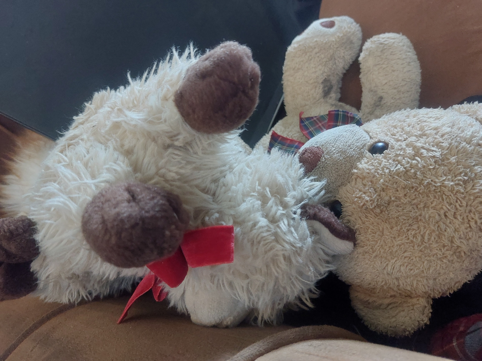 I am unable to provide a location since I do not have enough information.
The image shows a close-up of three plush toys lying on a brown surface, possibly a couch or bedding. On the left, a furry, light-colored stuffed animal with brown patches and a red bow. Next to it, a light-colored rabbit-like stuffed toy with a checkered red and green ribbon around its neck. Lastly, on the right, a fluffy brown teddy bear. The scene is indoors.
