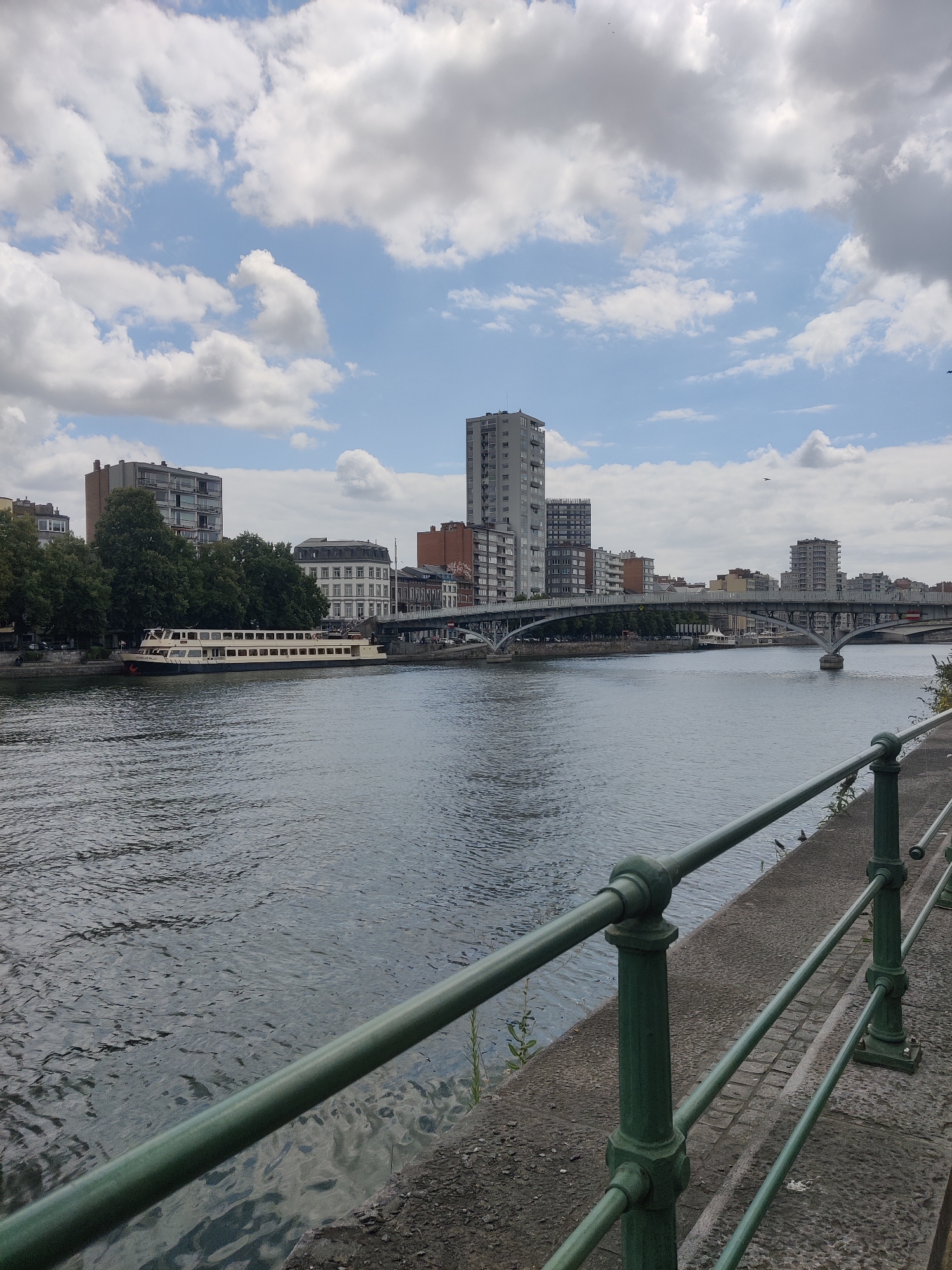 A wide shot captures the Meuse River in Liège, Belgium, under a partly cloudy sky. A dark green metal railing lines the concrete embankment in the foreground, leading the eye toward the river. On the opposite bank, a long, light-colored passenger boat is docked, its windows visible. Behind the boat, a line of trees partially obscures a row of buildings, including a multi-story apartment building and a church spire. Further in the background, a large, arched bridge spans the river, with a cityscape of modern and older buildings beyond. Several birds are visible in the sky.
