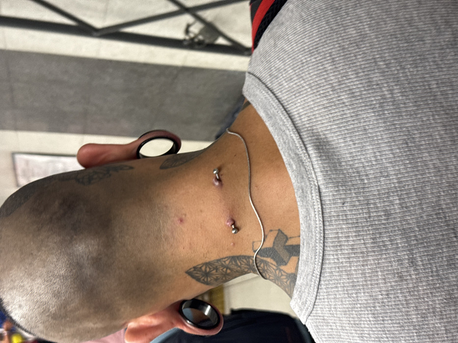 A close-up shows the side of a person's head and neck. They have a shaved head, with stretched earlobes containing large black plugs. Surface piercings are visible on the back of the neck, along with a delicate silver chain necklace. Tattoos adorn the neck and shoulder. The person is wearing a gray ribbed tank top. The background is blurry, but suggests an indoor setting.