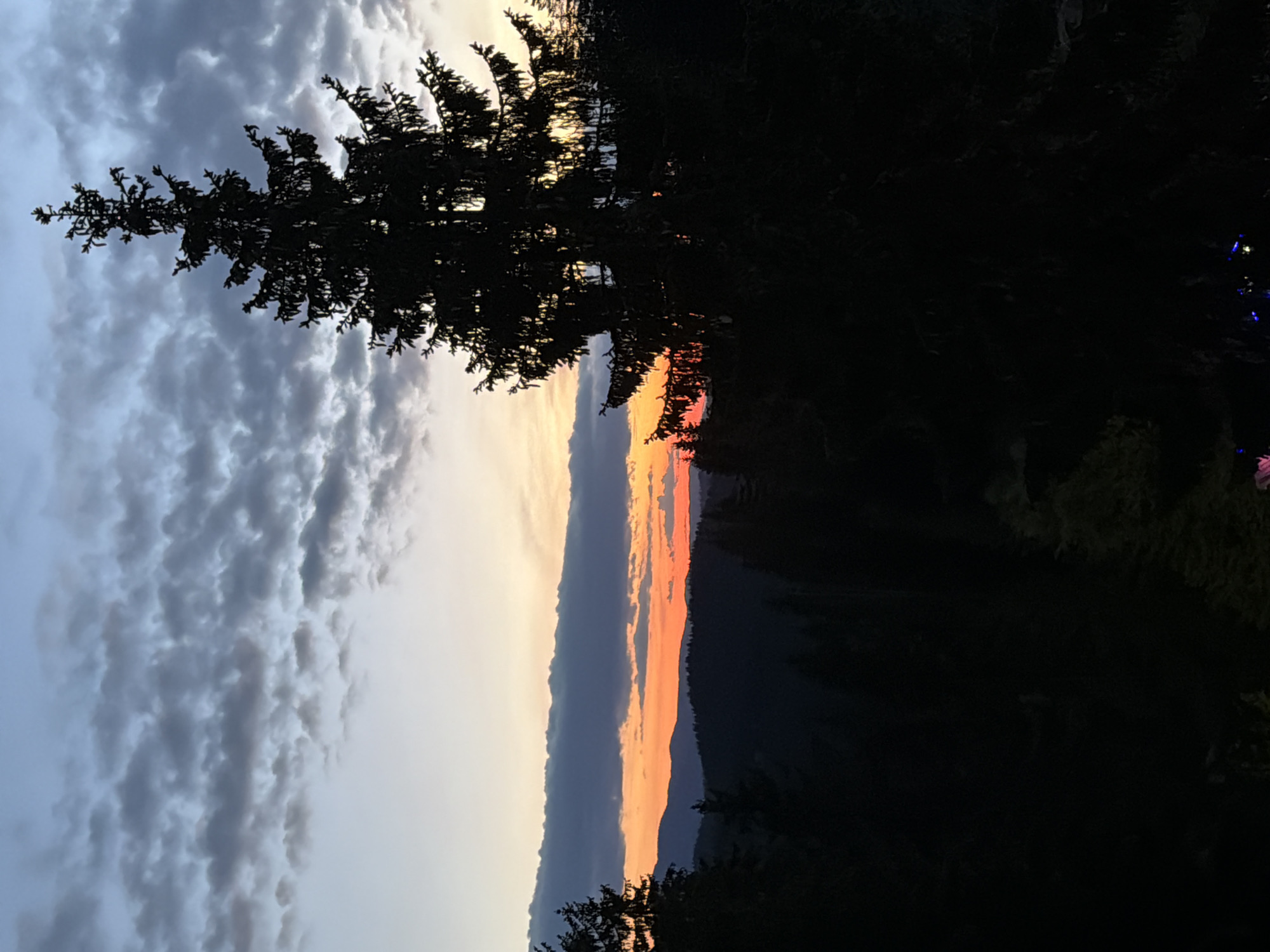 A vertical outdoor photograph shows a sunset viewed through silhouetted trees and landscape. The sky occupies the left half of the image, transitioning from gray, striated clouds above to a pale yellow towards the middle. A vertical strip of orange and red sunset colors the sky on the right, framed by dark, mountainous terrain. Silhouetted coniferous trees are in the foreground, one on the top left and another on the right. A small portion of the bottom right appears to be a dark expanse of possibly more trees or vegetation. The exact location and reference to Progled, Bulgaria, cannot be verified without additional information.