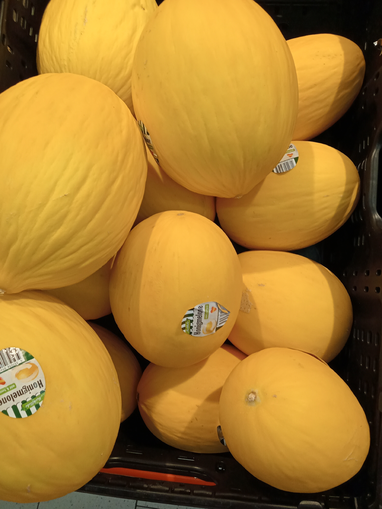 A close-up, overhead shot shows a black plastic crate overflowing with bright yellow honeydew melons. Several of the melons have round stickers with green and white text, indicating they are "Honigmelone." The crate is filled to capacity, with melons stacked on top of each other, obscuring the bottom of the crate. The melons are smooth-skinned and appear ripe. The lighting is bright, creating slight shadows and highlighting the smooth, curved surfaces of the melons. This image was likely taken in a grocery store or market in Schwerin, Germany, where such produce is commonly displayed.