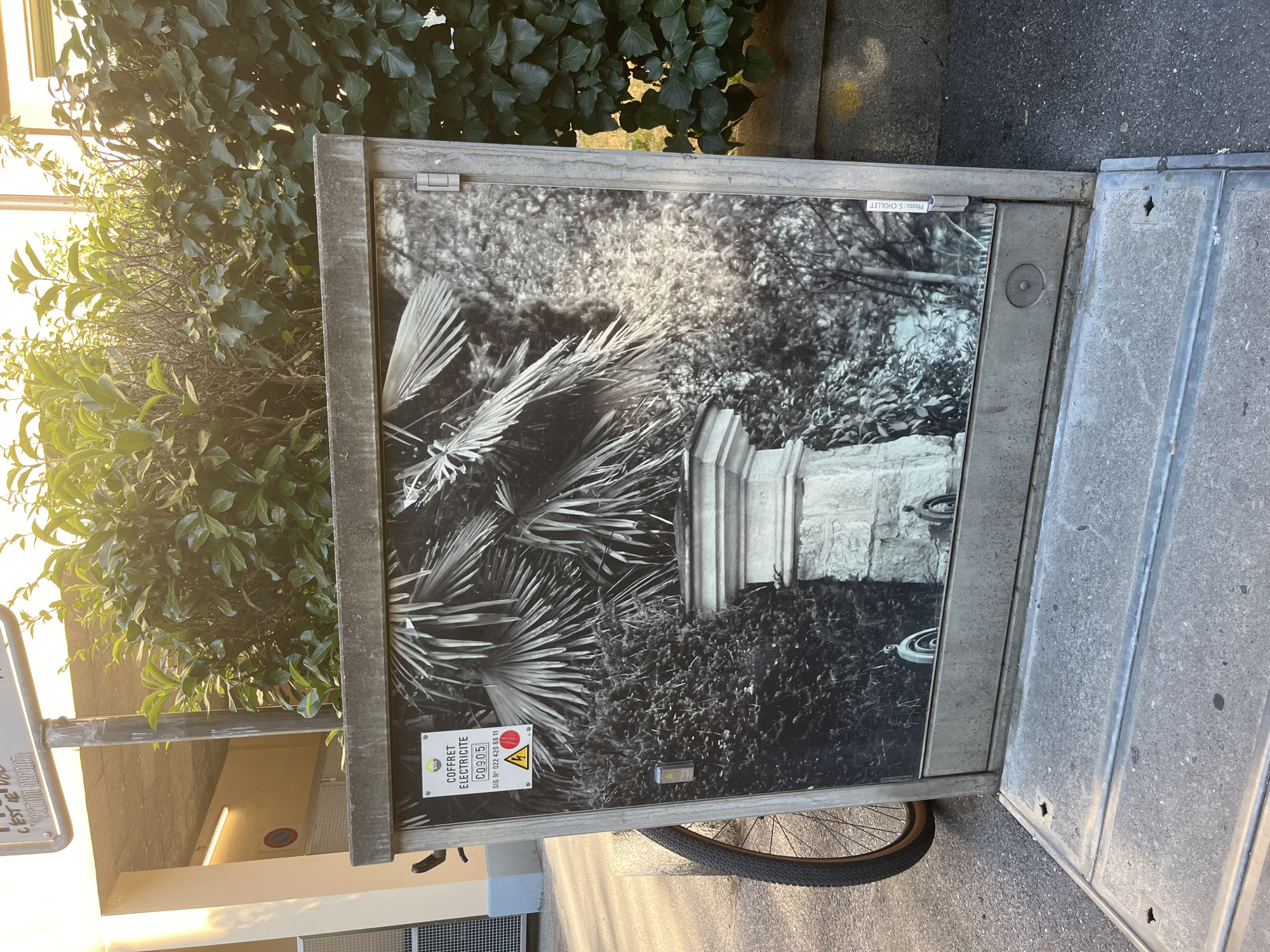 The image captures a black and white photograph of palm fronds and a stone structure, likely a fountain or pedestal, displayed on the facade of an electrical cabinet. A white sign on the cabinet reads "COFFRET ELECTRICITE C.0905" and includes a yellow and black warning symbol. A bicycle wheel is visible to the left of the cabinet. The cabinet is situated outdoors, in what appears to be a public area, with a building and dense green foliage in the background. The lighting suggests it is daytime, possibly late afternoon due to the warm glow and shadows. The scene is calm and static, with no individuals or overt actions taking place. The setting does not definitively place it in Geneva, Switzerland.