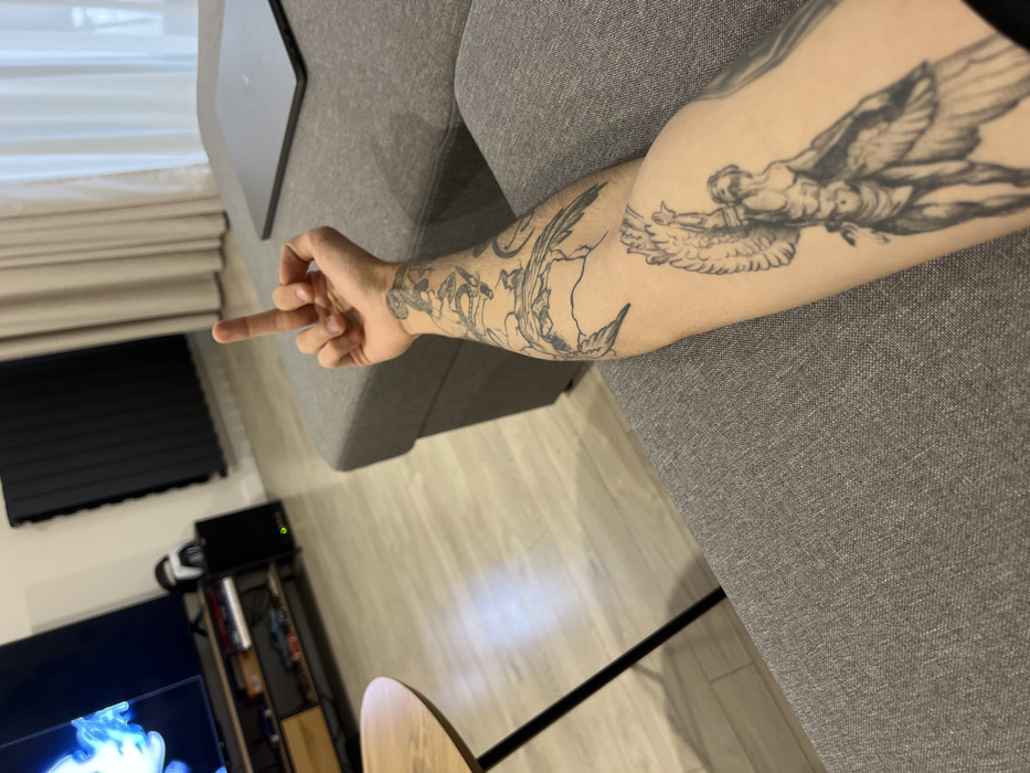 A forearm with multiple dark ink tattoos rests on a gray sofa. The tattoos depict a man with wings, a flower with leaves, and abstract designs near the wrist. The hand is extended with the middle finger raised. In the background, a laptop sits on the sofa. A television, shelf, and small round table are partially visible, along with a window covered by a black blind. The floor is light beige wood.