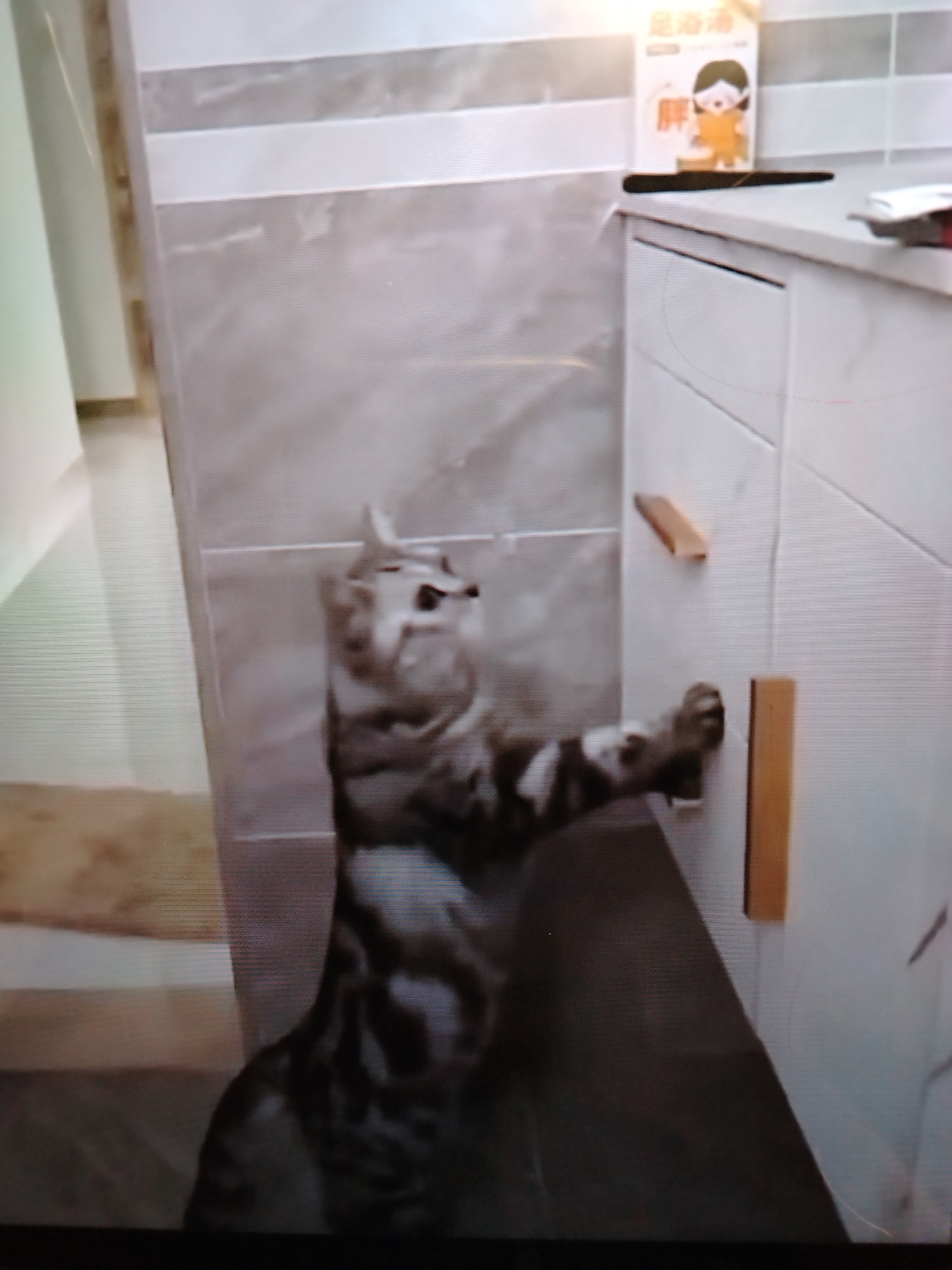 A tabby cat is standing upright, with its front paws extended, gripping the wooden handle of a white cabinet. The cat is facing the cabinet, which has two visible wooden handles. The background consists of tiled walls and what appears to be the corner of a room. There is a product box with an illustration of a person on top of the cabinet. The image is grainy, suggesting it might be a photograph taken from a screen. No specific location in Stavropol, Russia, can be identified from the image.
