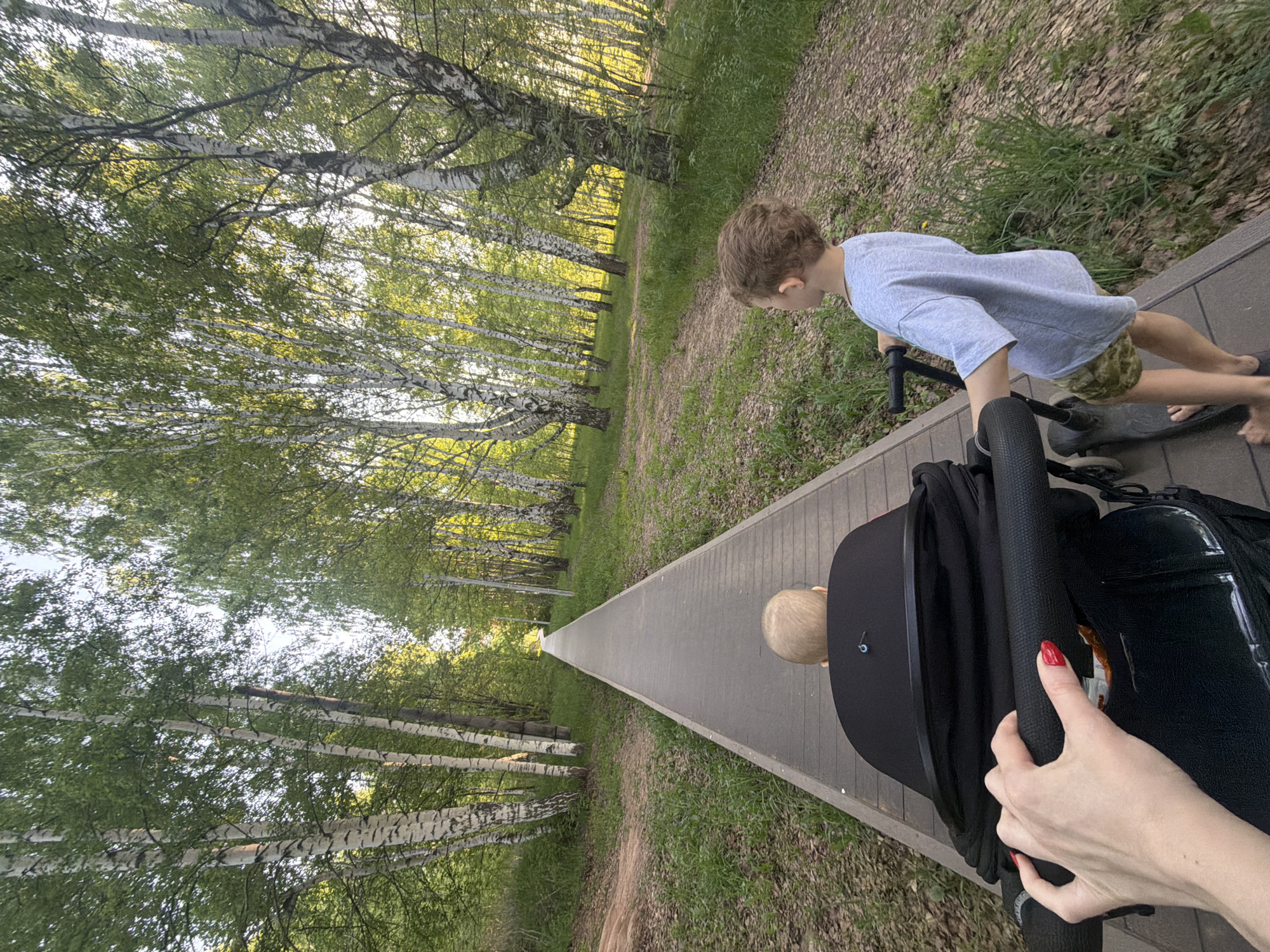 The image captures a scene in what appears to be a park or wooded area near the city of Chaikovsky, Russia. A child wearing a blue shirt and camouflage shorts is riding a scooter or balance bike along a raised boardwalk pathway. A second, younger child is visible in a black stroller being pushed by an individual whose hands are visible with red nail polish. The boardwalk pathway runs lengthwise through the image.
The environment is characterized by rows of tall, slender trees with white bark, likely birch trees, lining both sides of the path. The area alongside the boardwalk is covered in grass and fallen leaves. The lighting suggests it is either early morning or late afternoon, with sunlight filtering through the trees.
