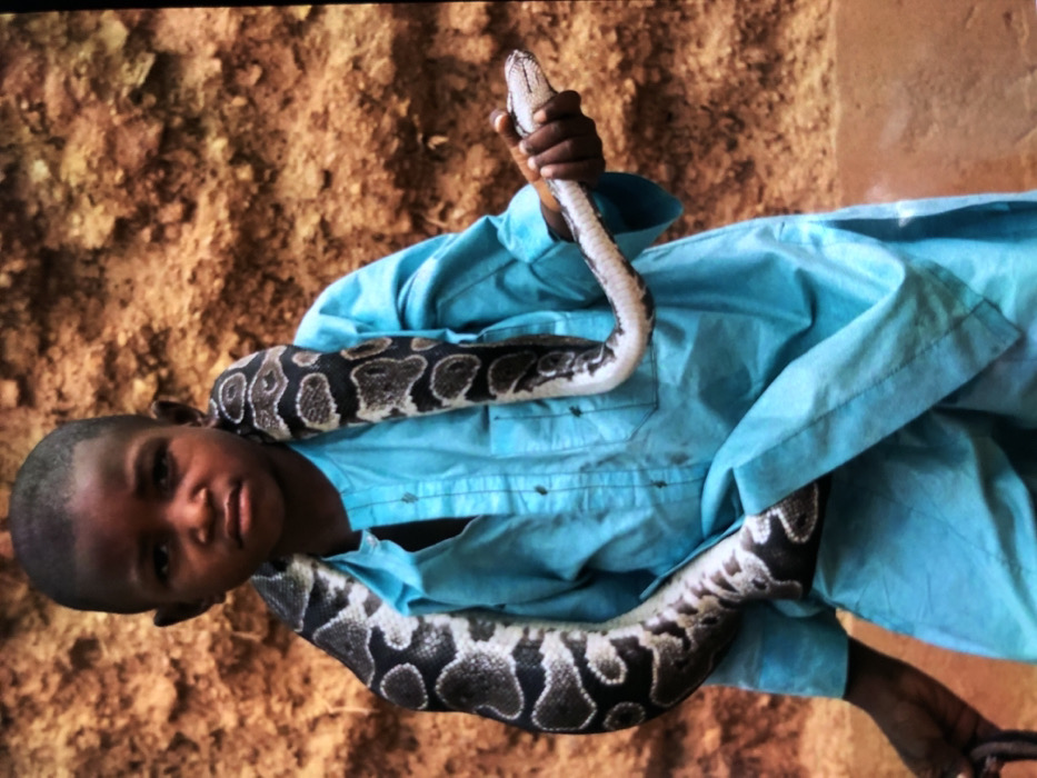 A young child, with dark skin and short dark hair, stands facing forward in Ilishan, Nigeria. The child wears a light blue, long-sleeved tunic. A ball python, exhibiting characteristic dark brown and tan irregular blotches, is draped around the child's neck and shoulders. The snake's body extends down the child's left side and wraps over the right shoulder. The child's right hand holds the snake's head. The child maintains a neutral facial expression, looking directly at the viewer. The background consists of a reddish-brown, textured earthen wall or natural soil formation.