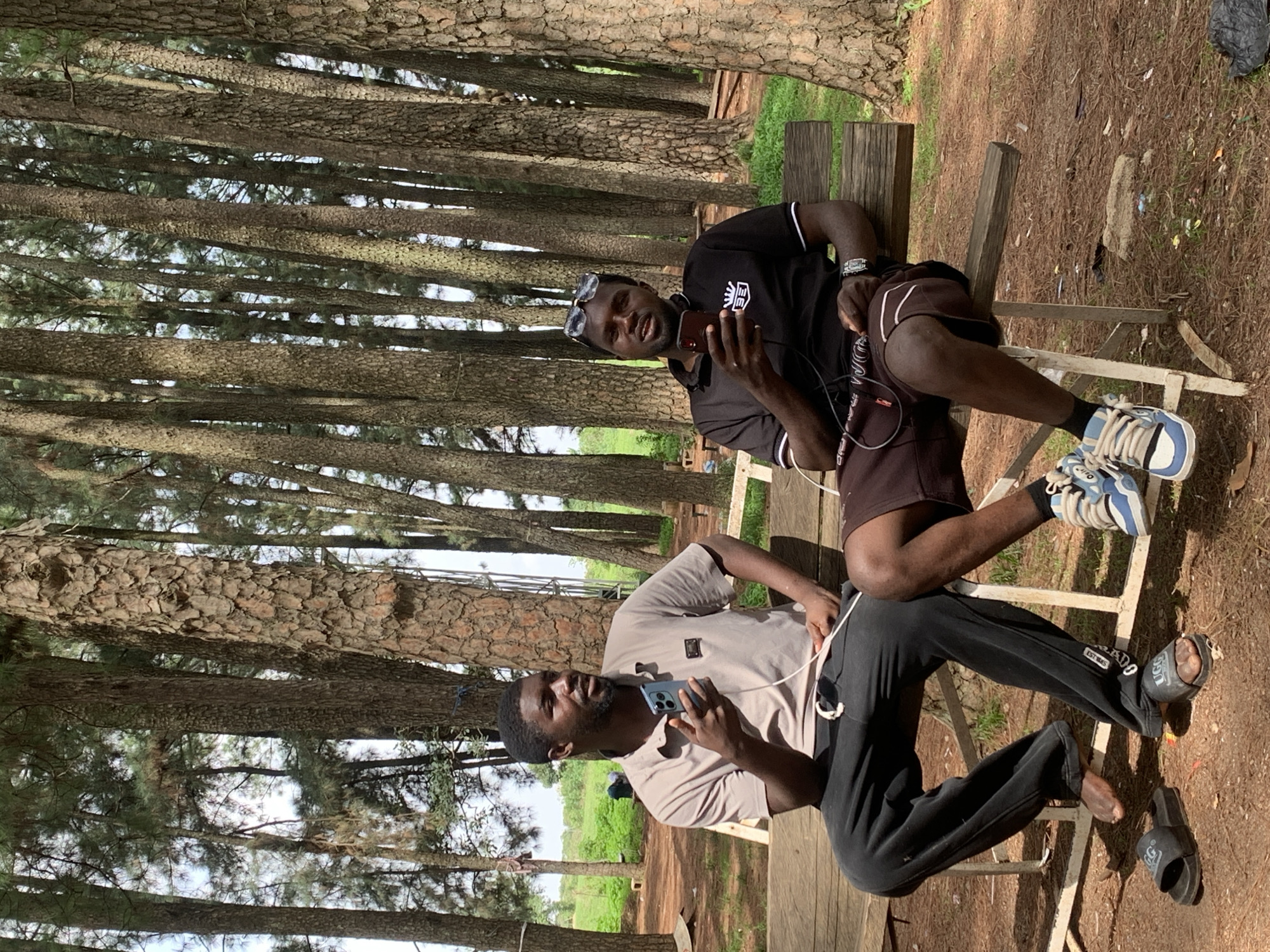 Two young Black men are sitting on a wooden bench outdoors, surrounded by a dense forest of tall, thin pine trees. The ground is covered in pine needles and dry leaves. The man on the left is wearing a light gray polo shirt and dark pants, holding a blue smartphone. The man on the right is wearing a black polo shirt with white trim and dark shorts, holding a red smartphone. Both men have headphones on, with wires visible. The overall setting appears to be a park or recreational area, likely within the city of Jos, Nigeria, given the prevalence of such pine plantations in the region. The lighting suggests it is daytime, with sunlight filtering through the trees, creating dappled shadows.