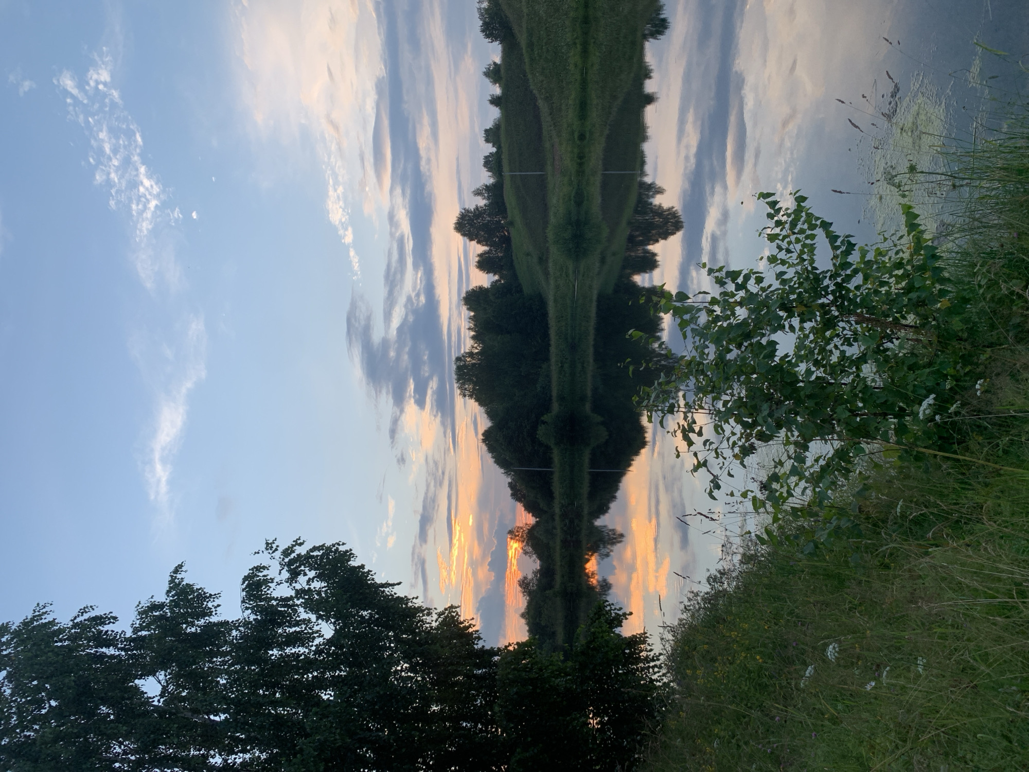 The image depicts a serene natural landscape, likely near the city of Zasechnyi, Russia, during what appears to be twilight. A calm body of water dominates the foreground, reflecting the soft hues of the sky and the surrounding vegetation. On the left bank, tall grass and wildflowers grow abundantly, with a large tree casting a shadow. The opposite bank is lined with dense green trees and rolling hills. The sky is a gradient of pale blue, with wispy clouds tinged with orange and pink from the setting sun. There are no people or animals visible in the scene, and no human activity is evident. The overall impression is one of peaceful natural beauty.