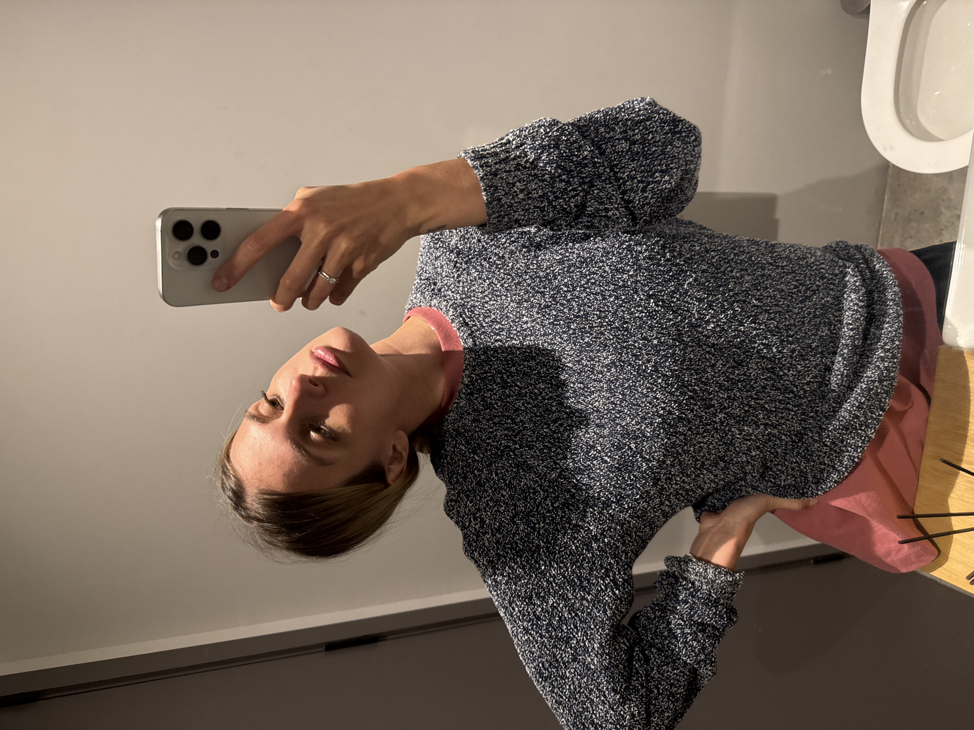 A person with light skin and brown hair is taking a selfie with a smartphone. The person is wearing a dark blue and white speckled sweater with a pink undershirt visible at the neckline. The person is standing in a bathroom, with a toilet visible in the upper right corner of the frame. The background is a plain, light-colored wall. The location is unknown.