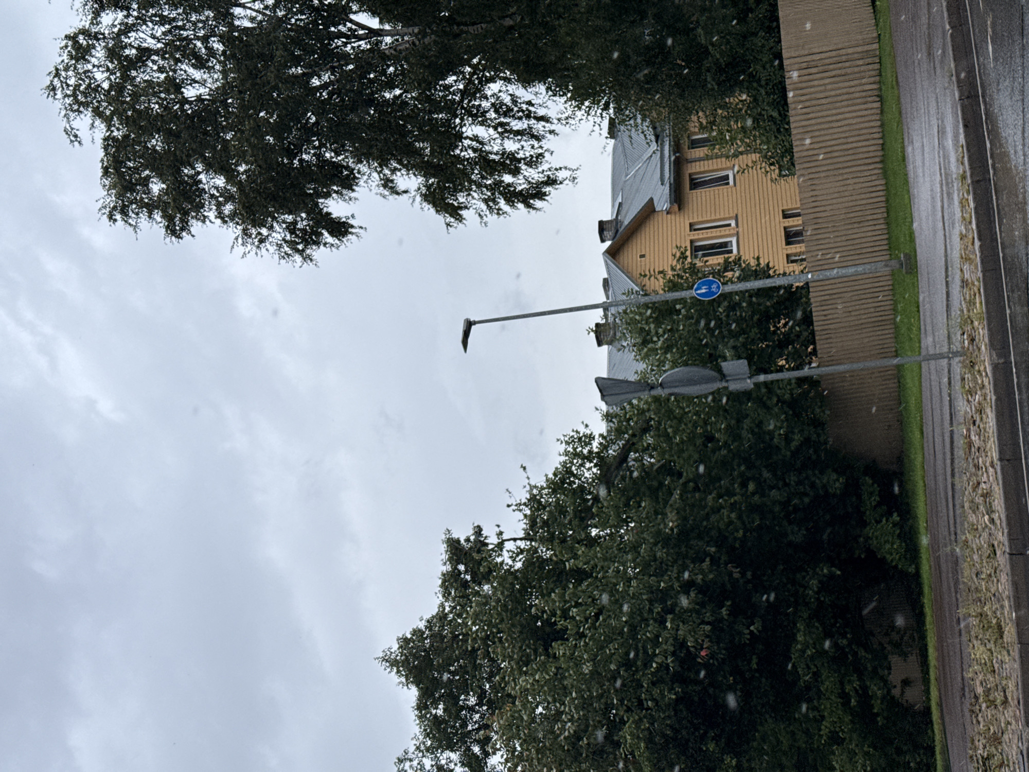 The image shows a street view on a cloudy day in Tallinn, Estonia. A two-story yellow house with a gray metal roof is visible behind a wooden fence. Several tall trees with dark green foliage are on the left and right sides of the frame, with a street light and two traffic signs in the middle. The street in the foreground appears wet, suggesting recent rain, and there are small white specks in the air, possibly indicating light snow or falling leaves. No people are visible in the scene.