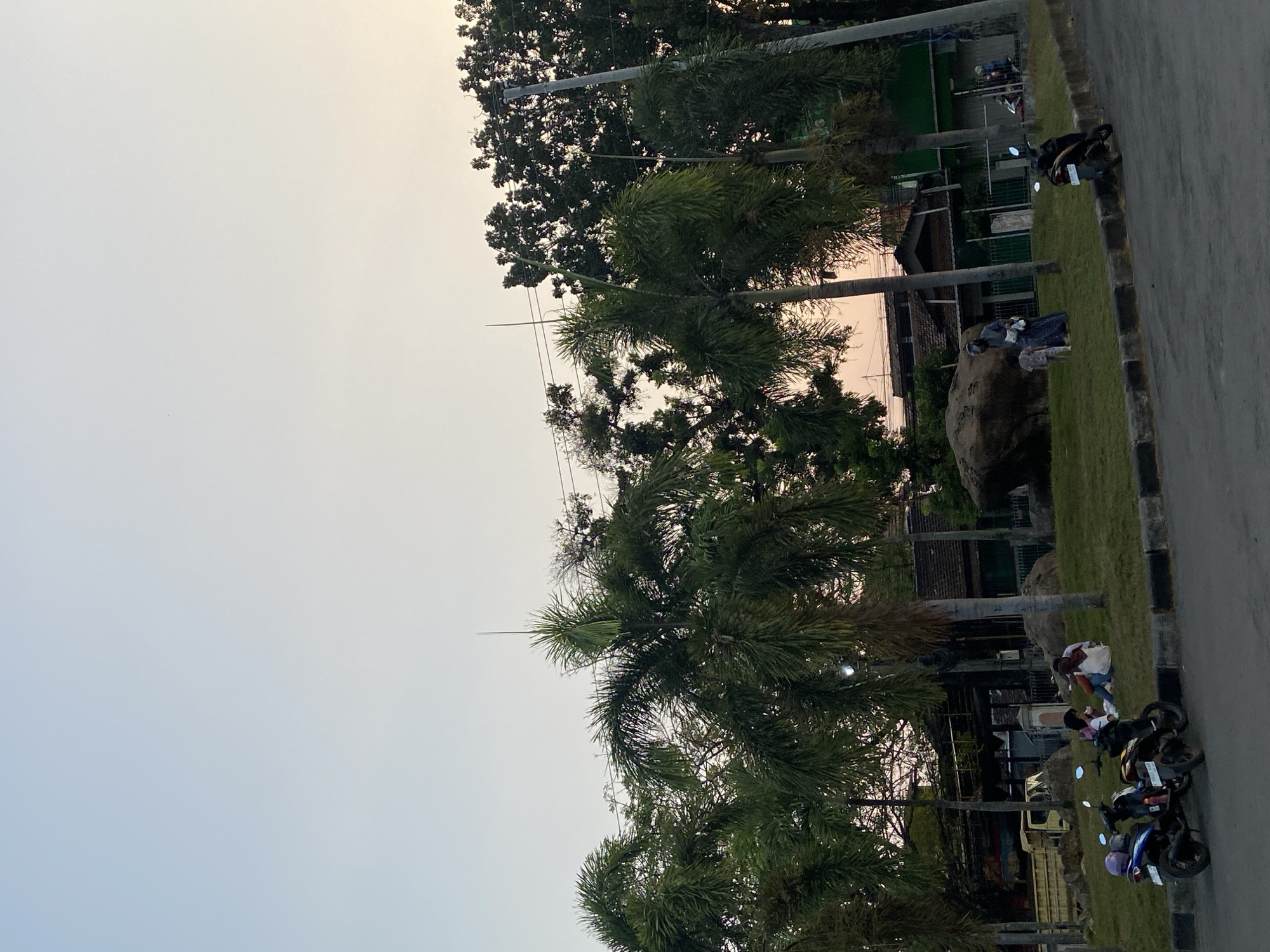 The image depicts an outdoor scene in Margorejo, Indonesia. In the foreground, a paved road curves into the frame, with a manicured lawn bordering it. Several motorcycles are parked on the lawn, and two are prominently featured on the left. Further back, a group of people, including at least two adults and one child, are gathered on the grass, some sitting and others standing. A large rock is situated near the group. Behind the lawn and people, there are several palm trees and other foliage, with buildings visible in the background. The sky is a pale blue, transitioning to a soft orange hue near the horizon, suggesting either sunrise or sunset. The overall atmosphere is peaceful and relaxed.
